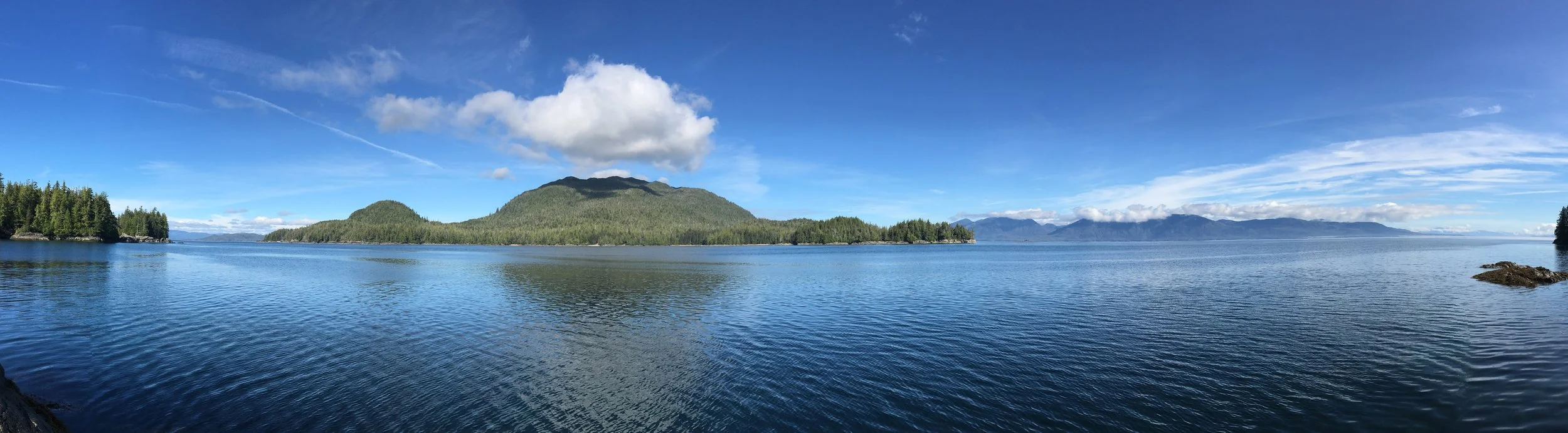 Grindall island header.jpeg