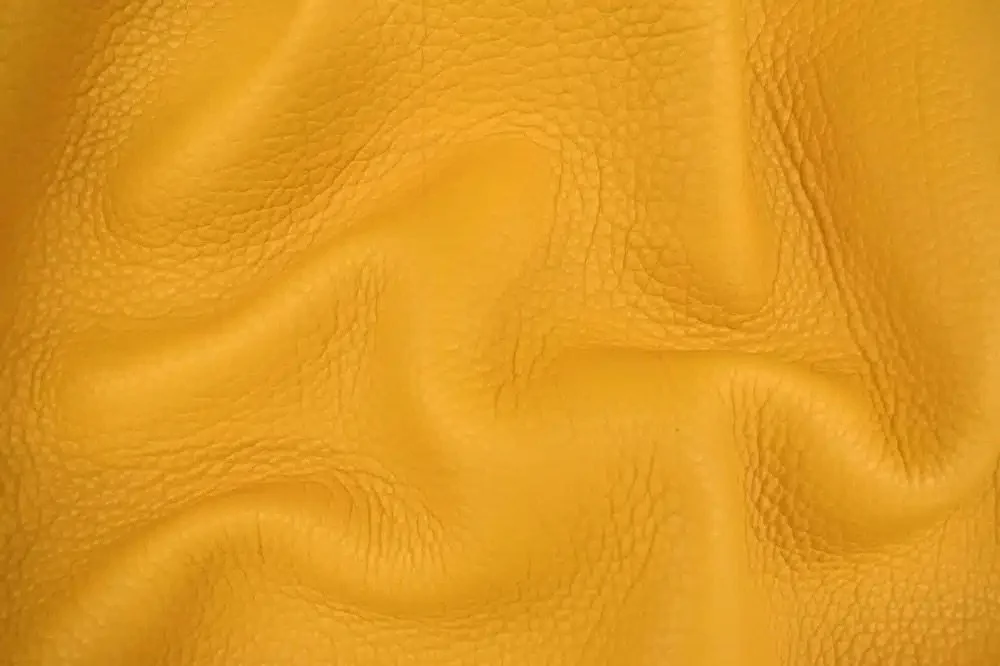GOLD BISON 5/6OZ