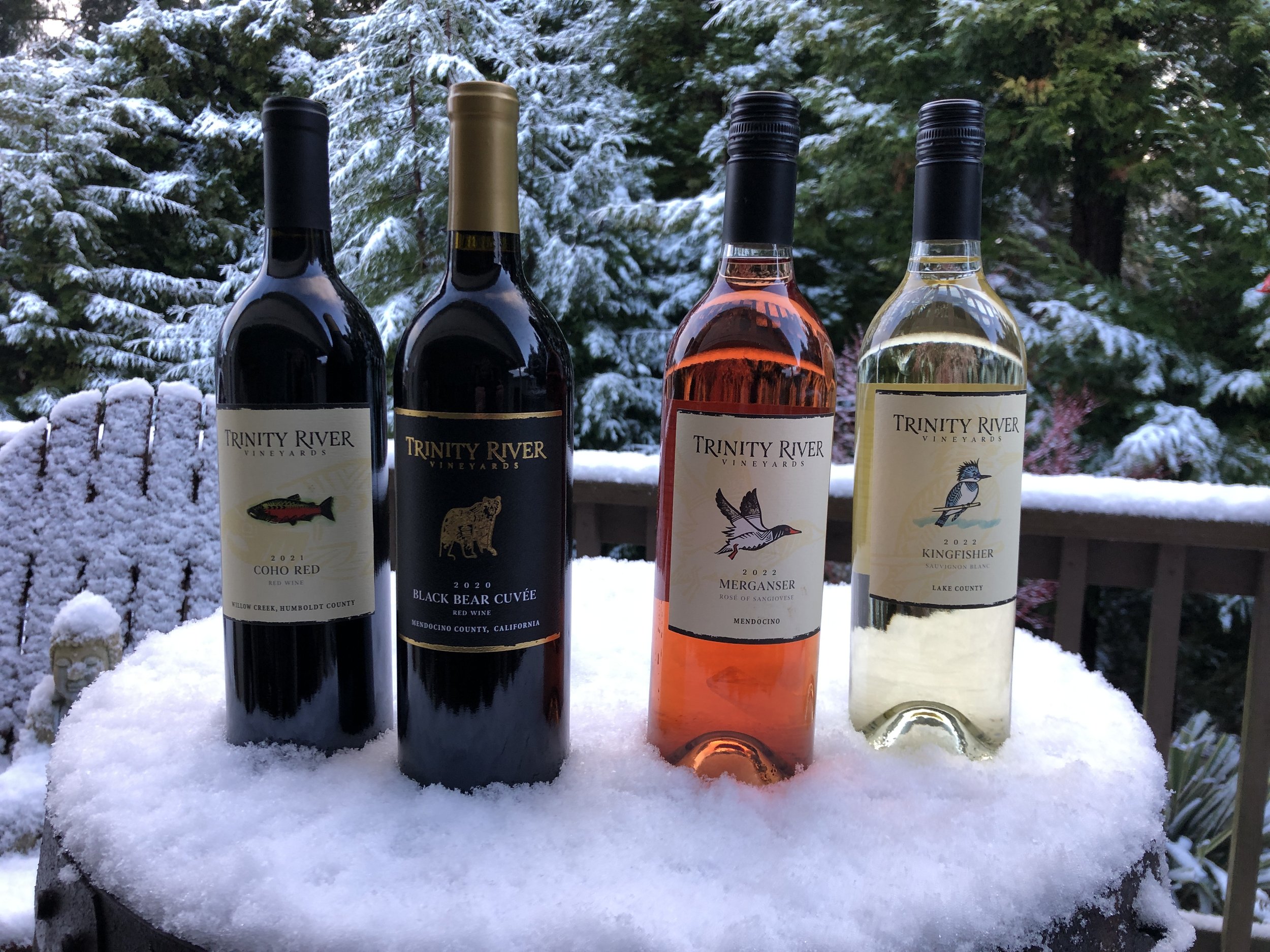 Wines-Snow-Close-Up.JPG