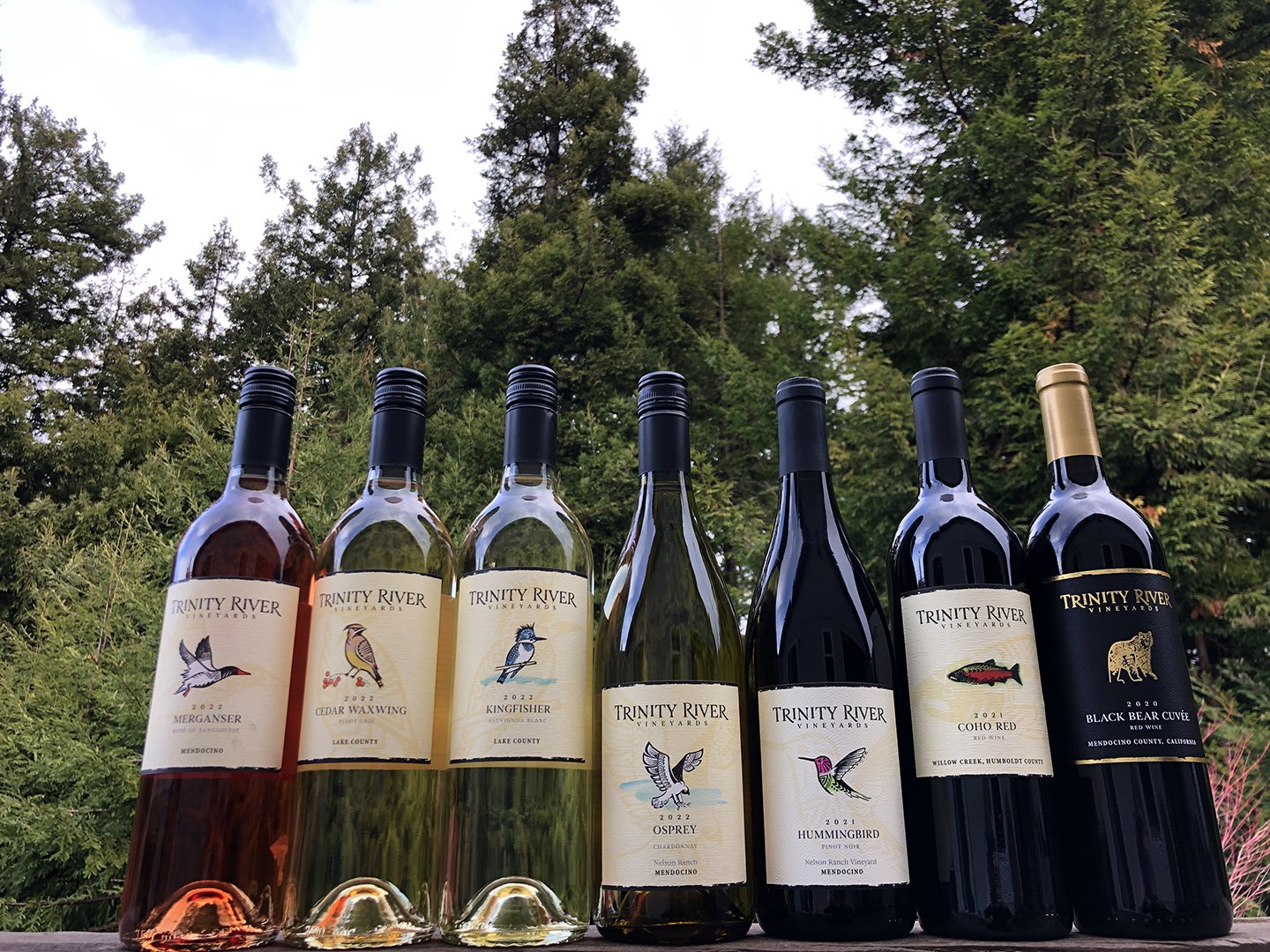 TRV-wines-redwoods-tmack.jpg