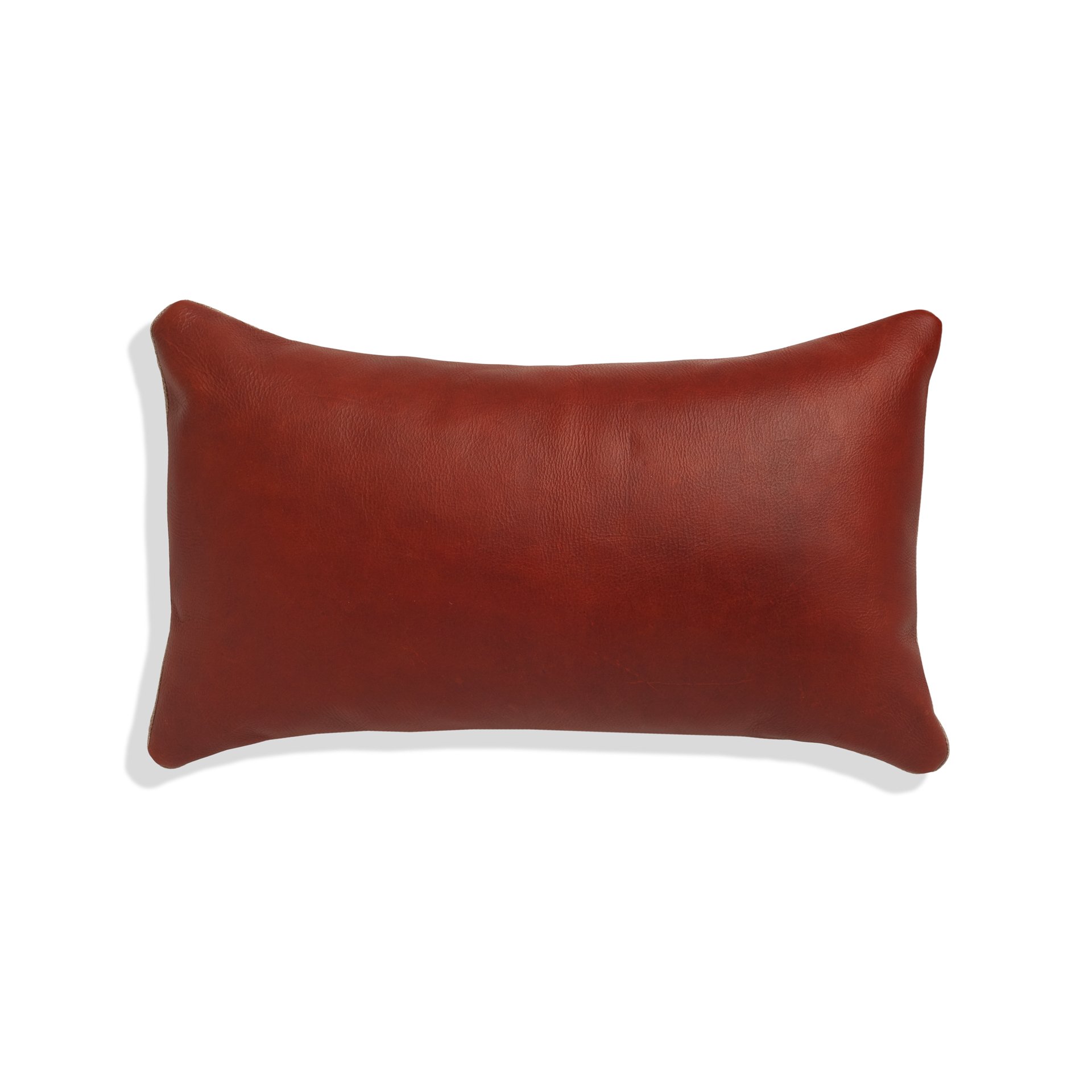 Lazarus_LeatherPillow_1Front.jpg