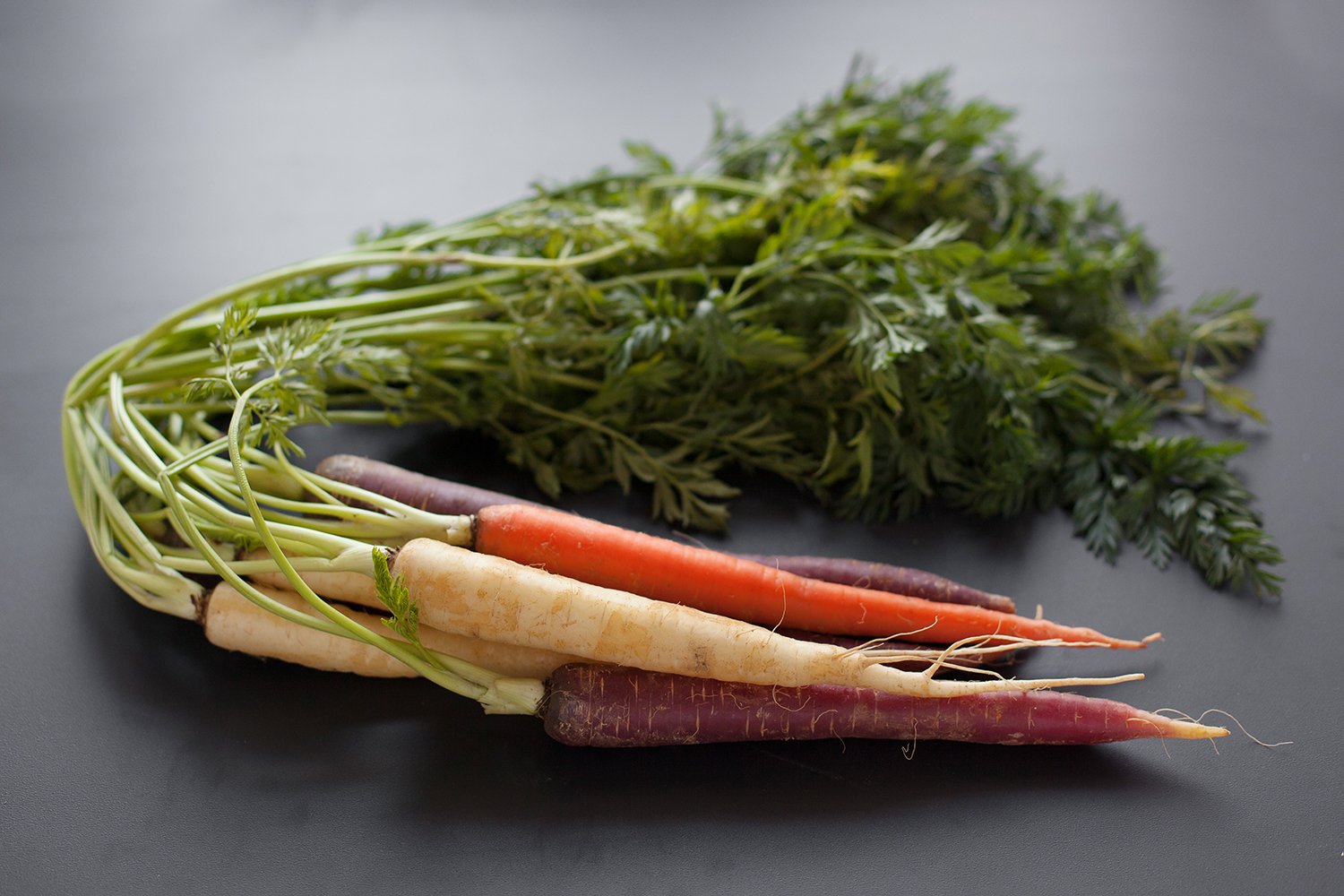 Carrot1WEB.jpg