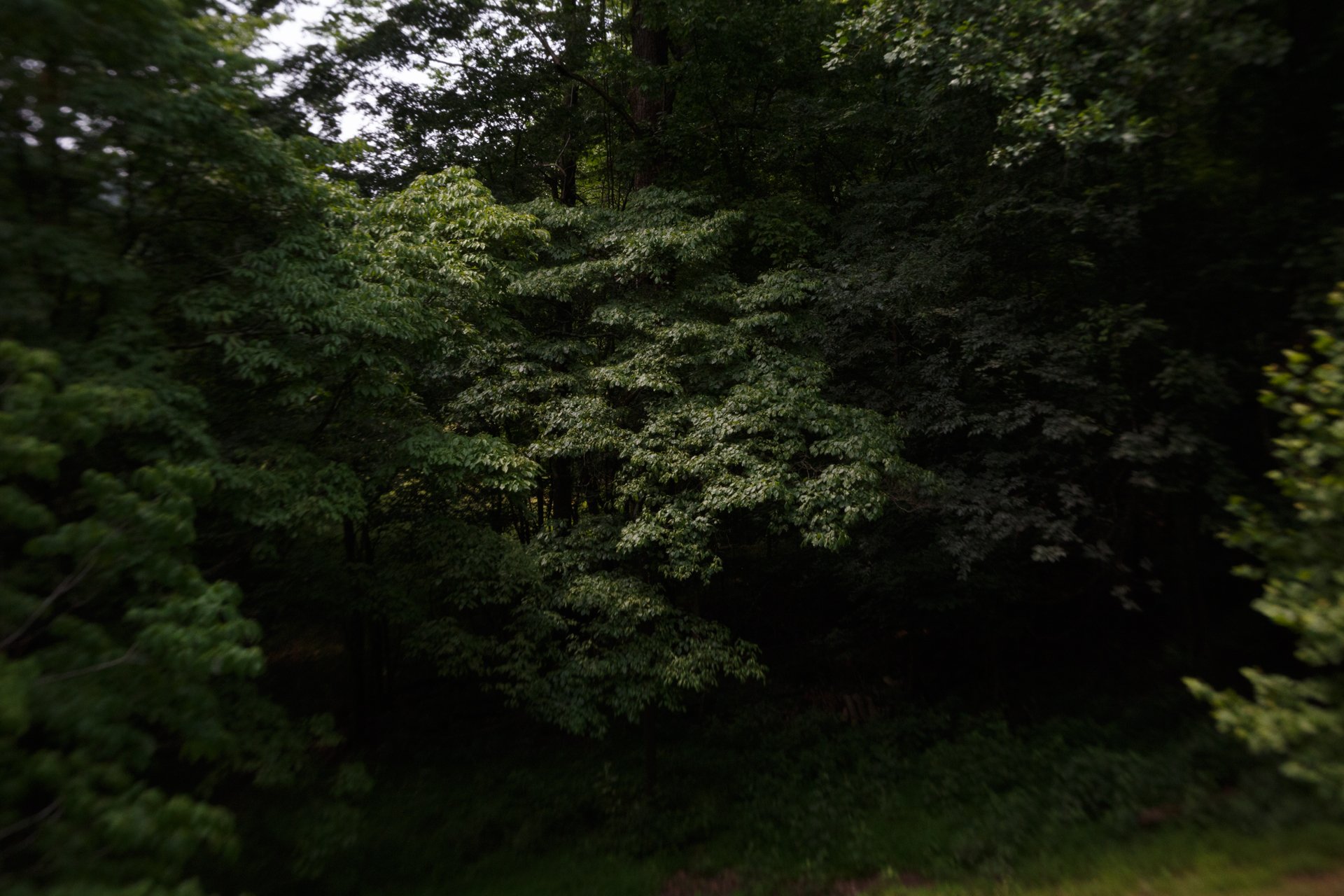 _S7A4825.jpg