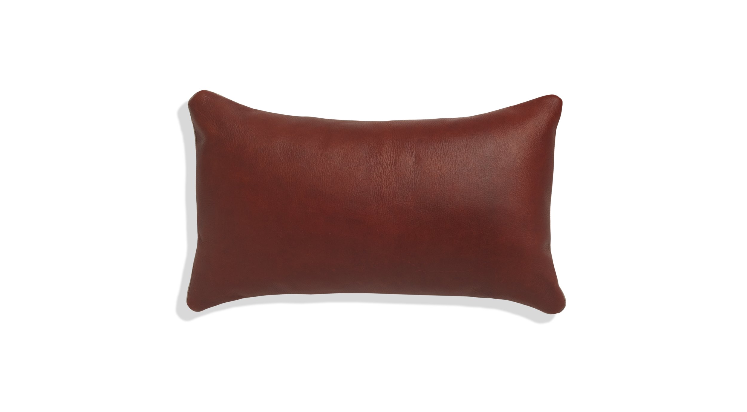 Lazarus_LeatherPillow_1Front.jpg