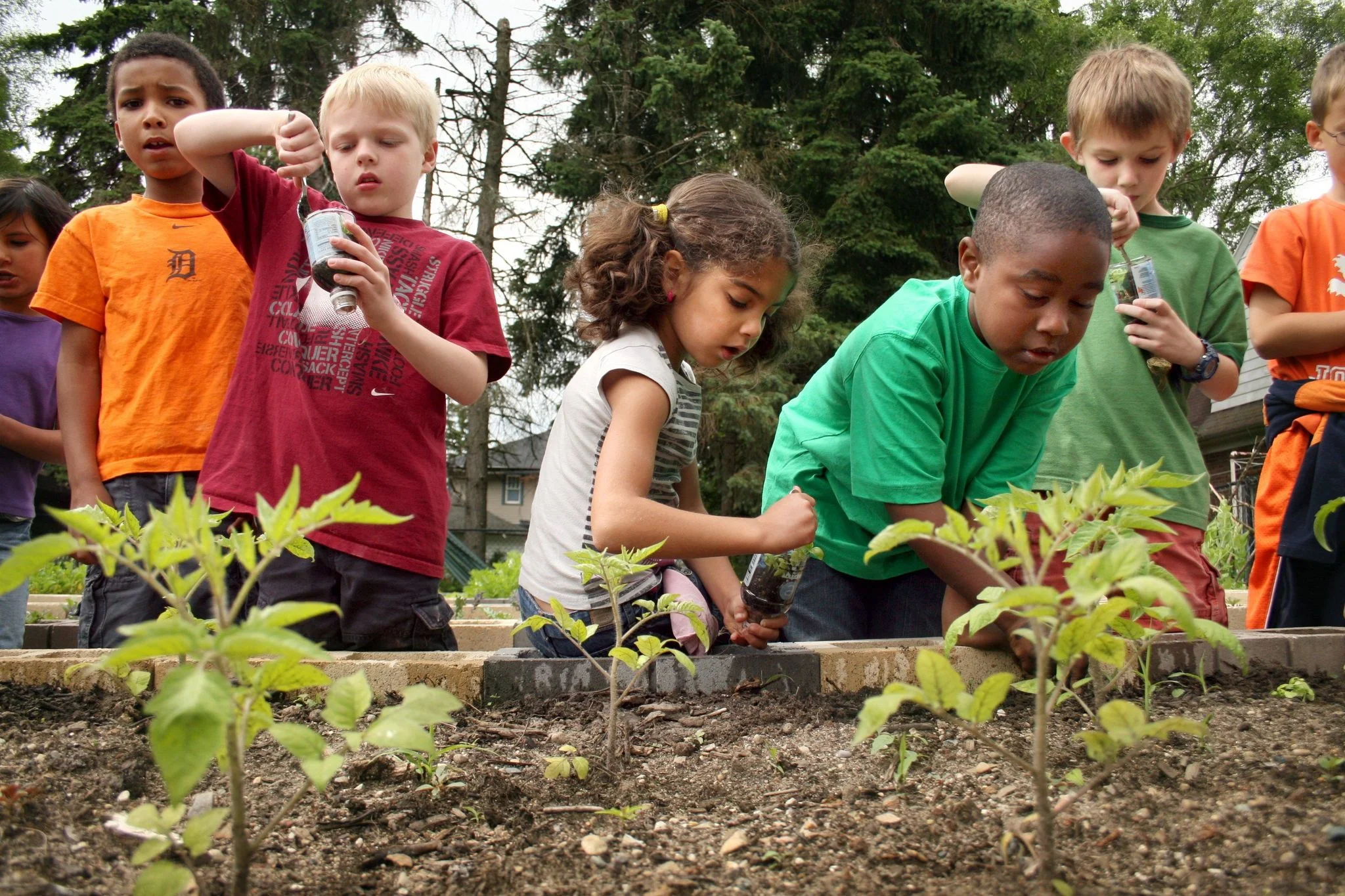 community-garden-fundraising.jpg
