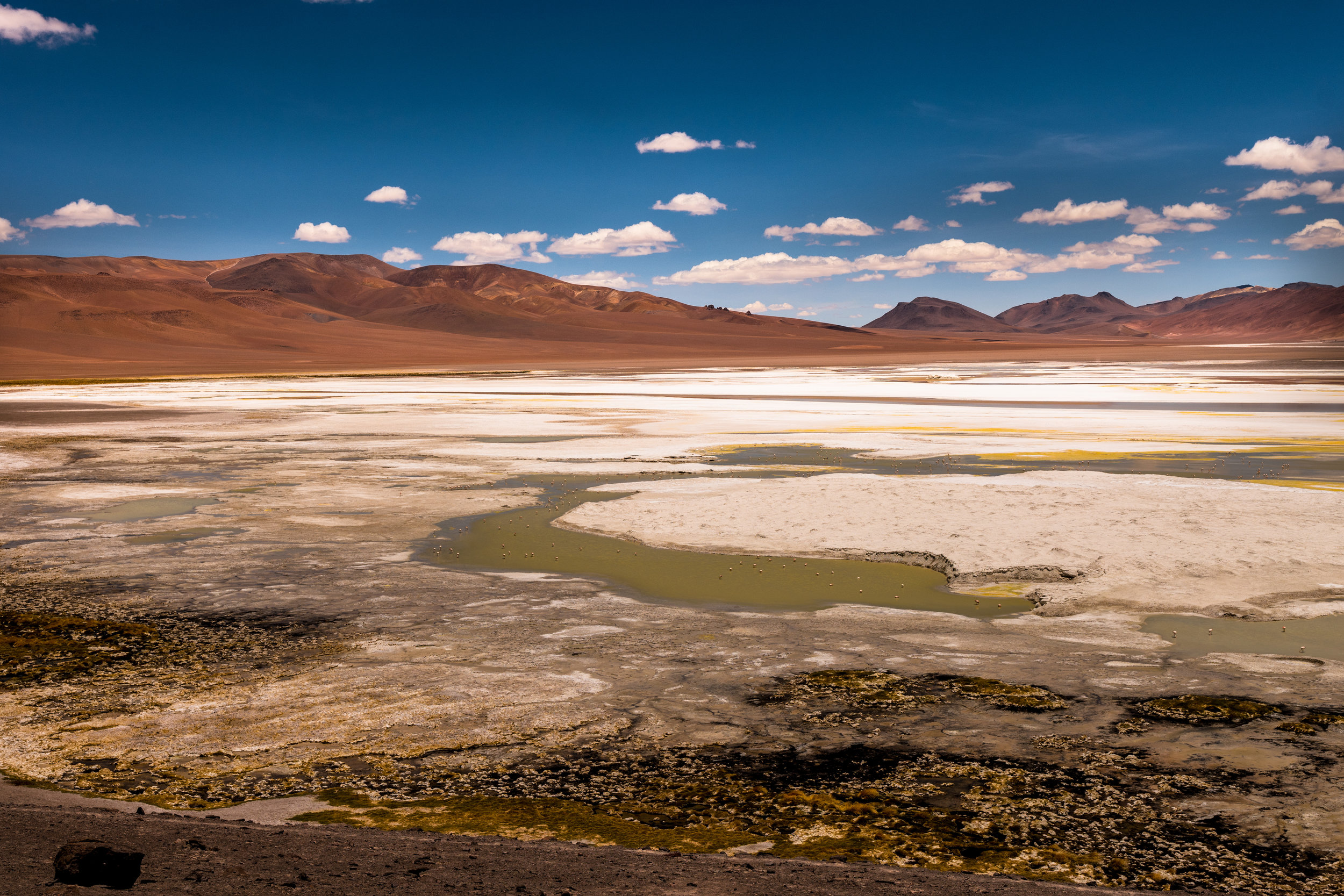 Salar de Atacama, Chile
