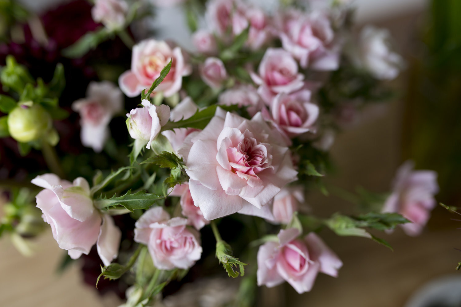 image-asset (2).jpeg