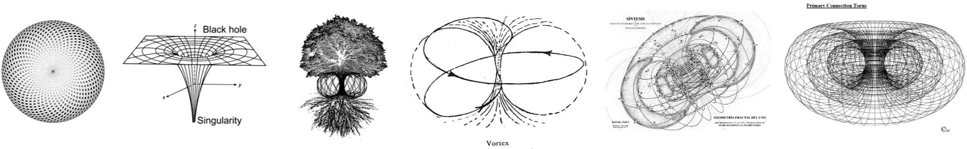 Richard Conner Architect Artist Toroidal Flow House Yin Yang Studio Yin Yang Concept Strip 2000px 80PC RIGHT.jpg