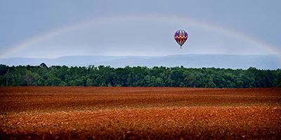 balloonfield20x10.jpg