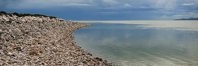 rockybeachantelope30x10.jpg