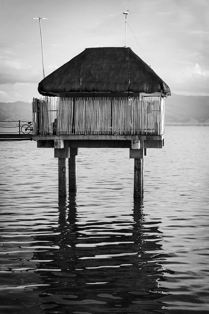 _DSC6379 copybw copy.jpg