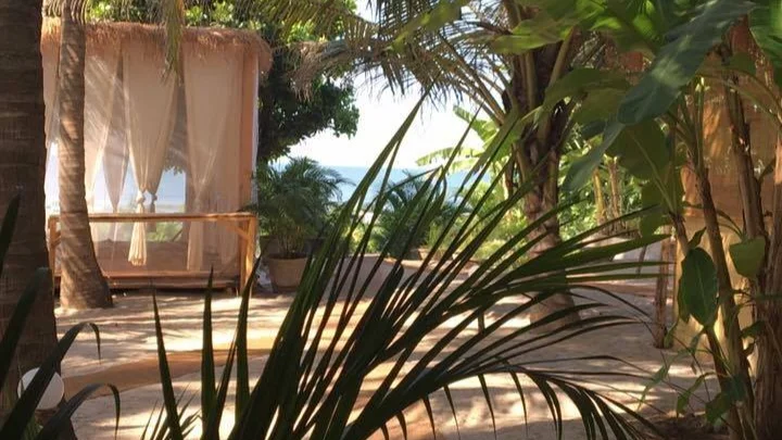 palmgroveshala5.jpg