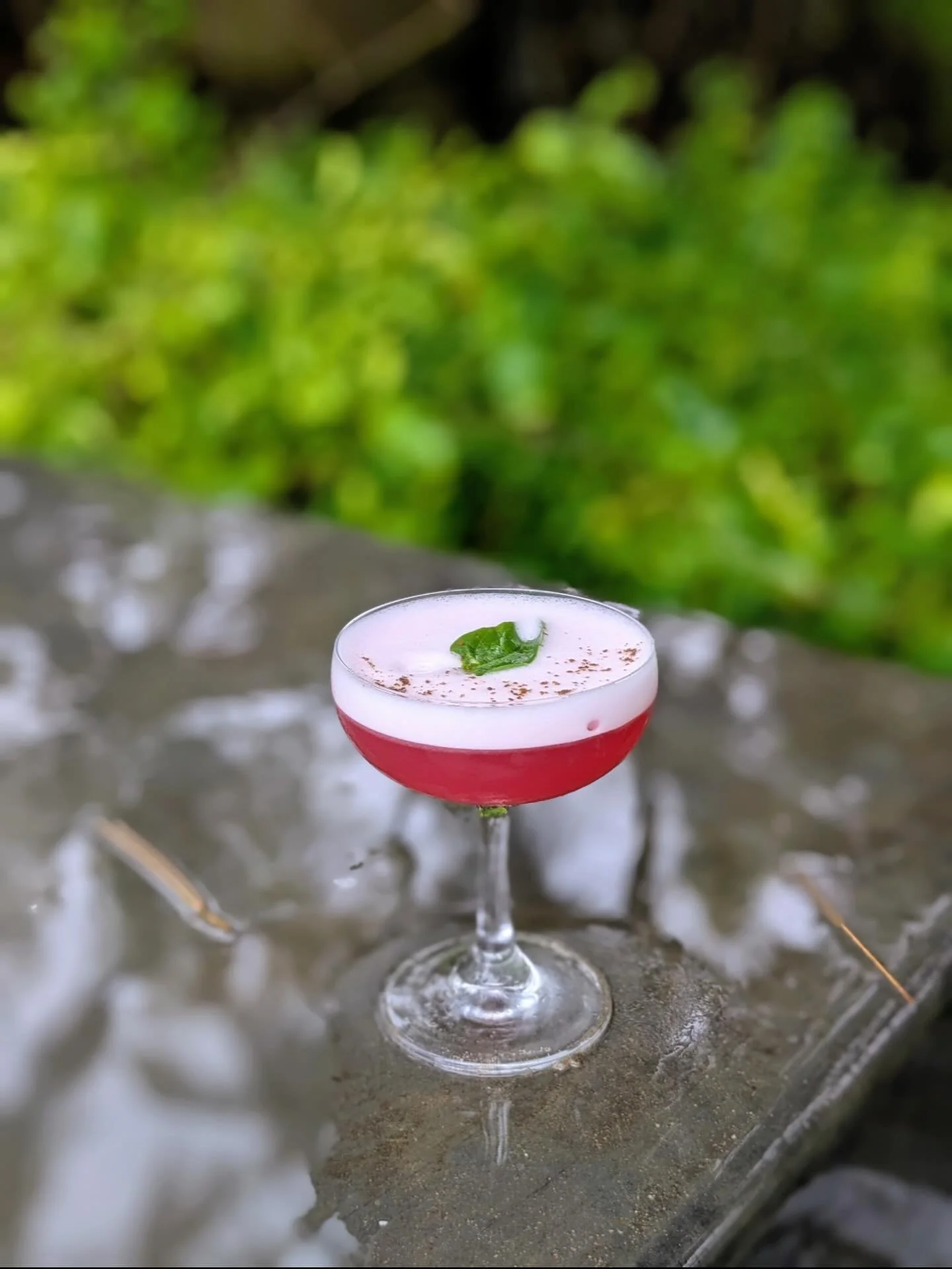 Let us introduce Berry Bush. She has a base of Gin. Rest is to be unfolded as you sip through. Salut!
