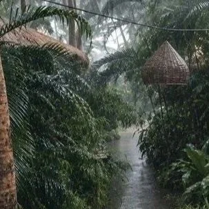 img2583.jpg