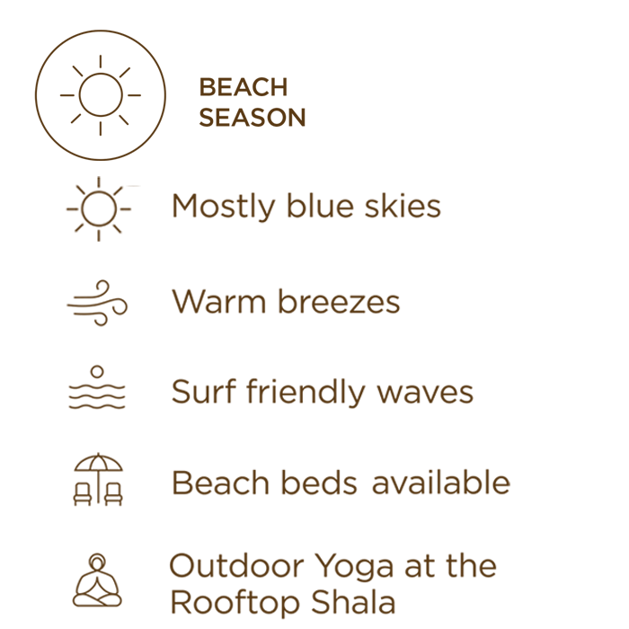 beachseason1.png