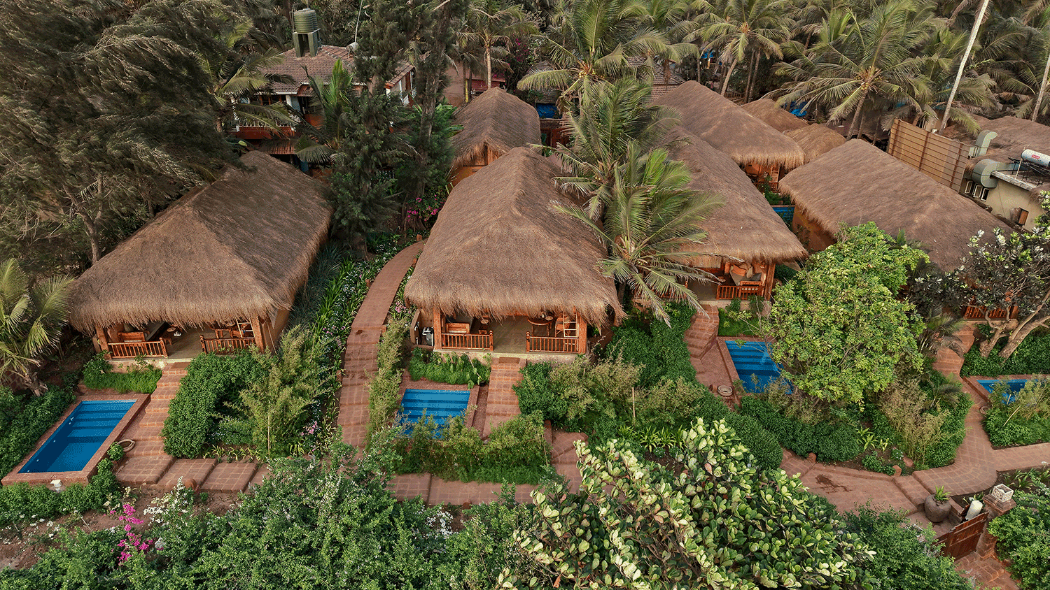 littlepalmgrove.png