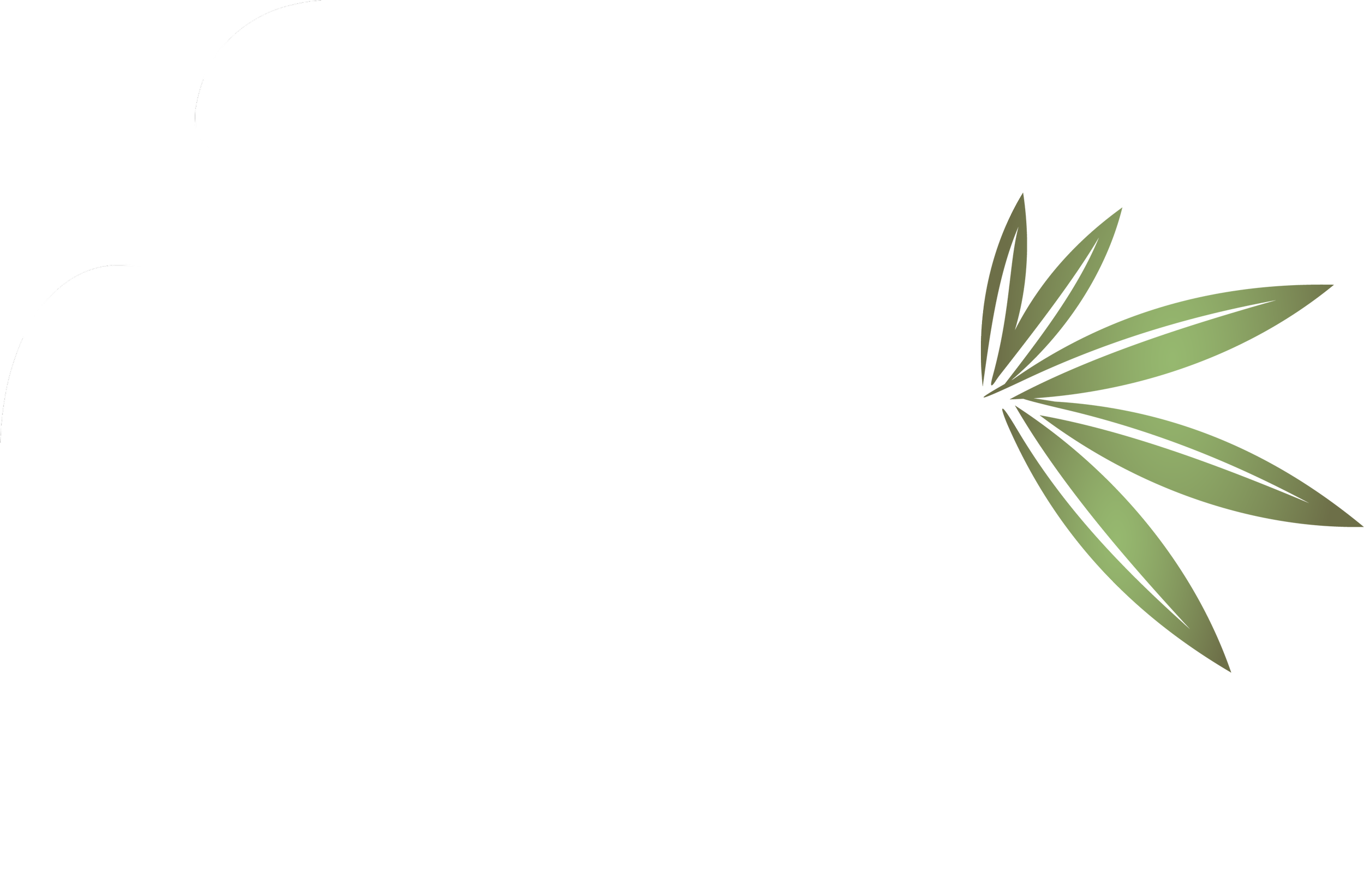 PALM GROVE BEACH RESORT