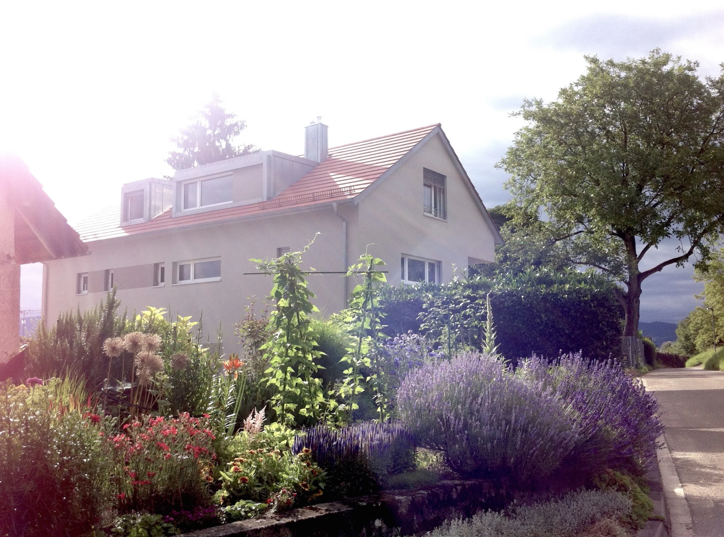 Neubau Hofstrasse 9.JPG