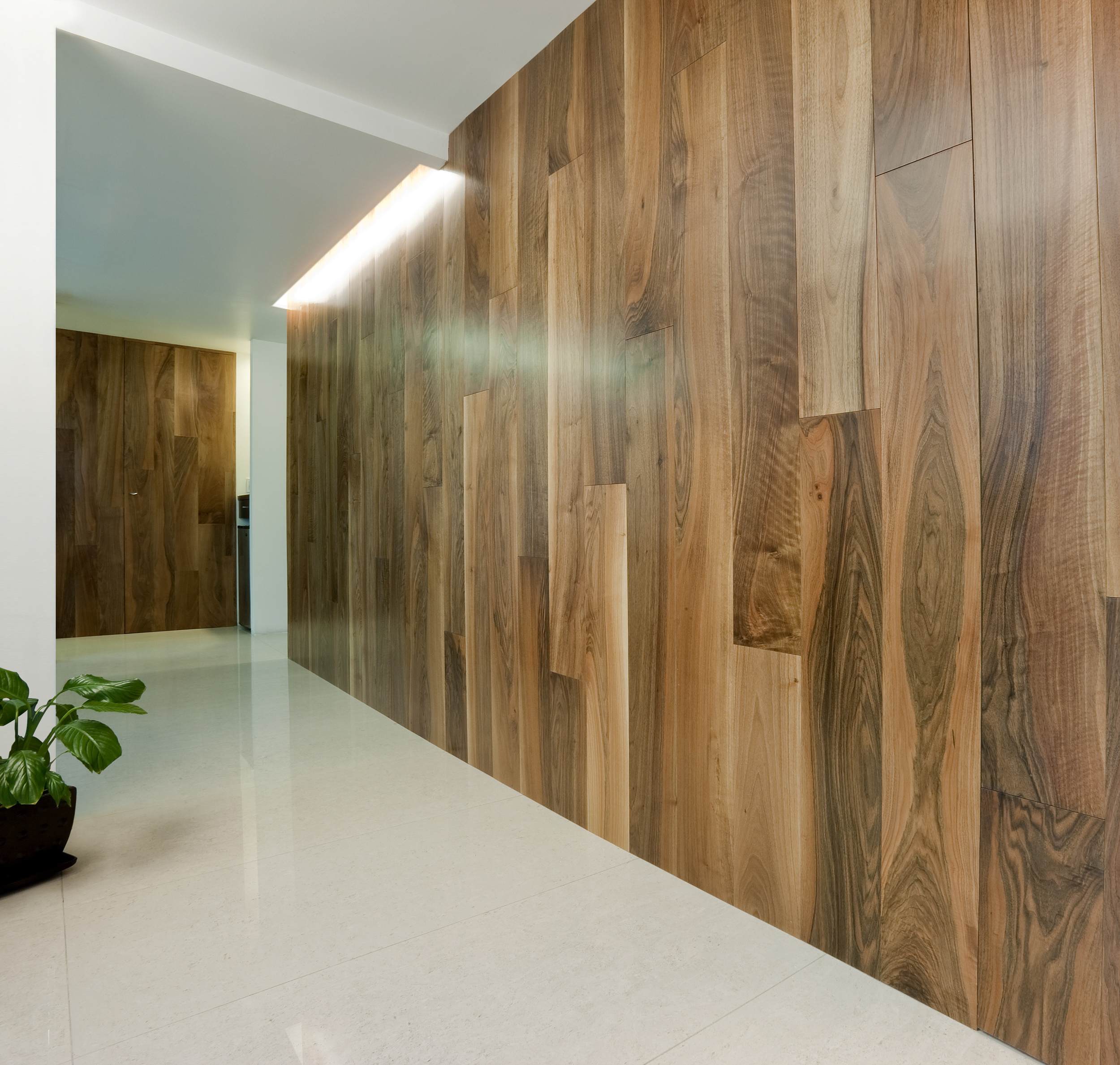 Wall and doors in AA European Walnut