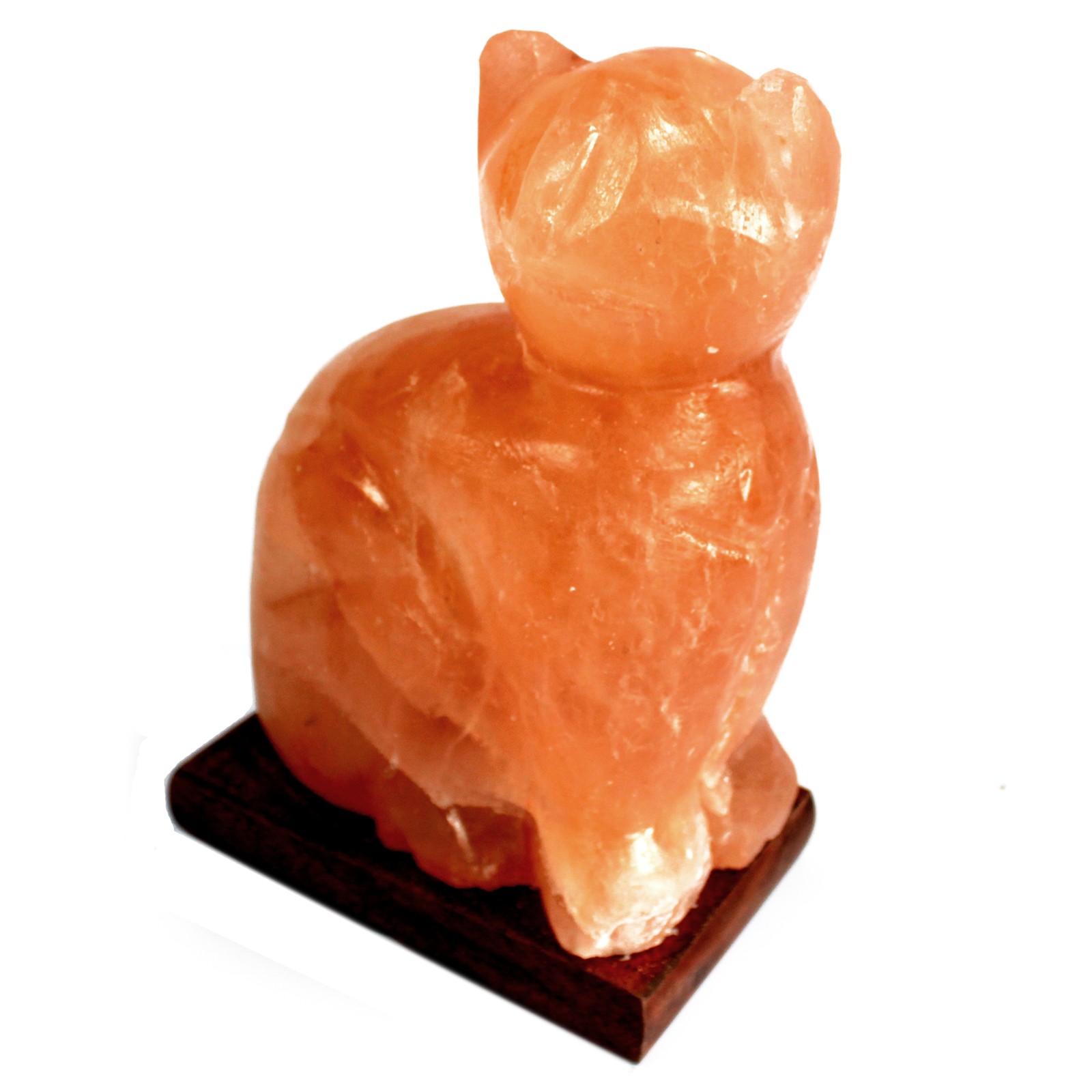 Himalayan Salt Lamp Cat.jpg