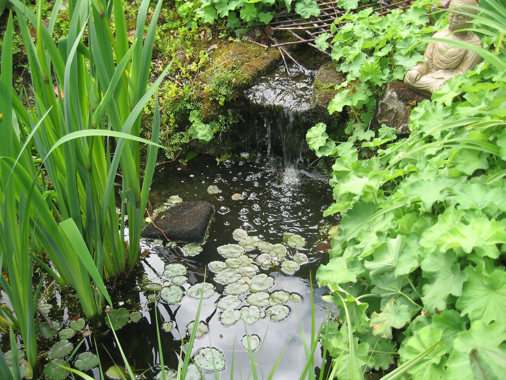 Natural Water Feature, Giffnock