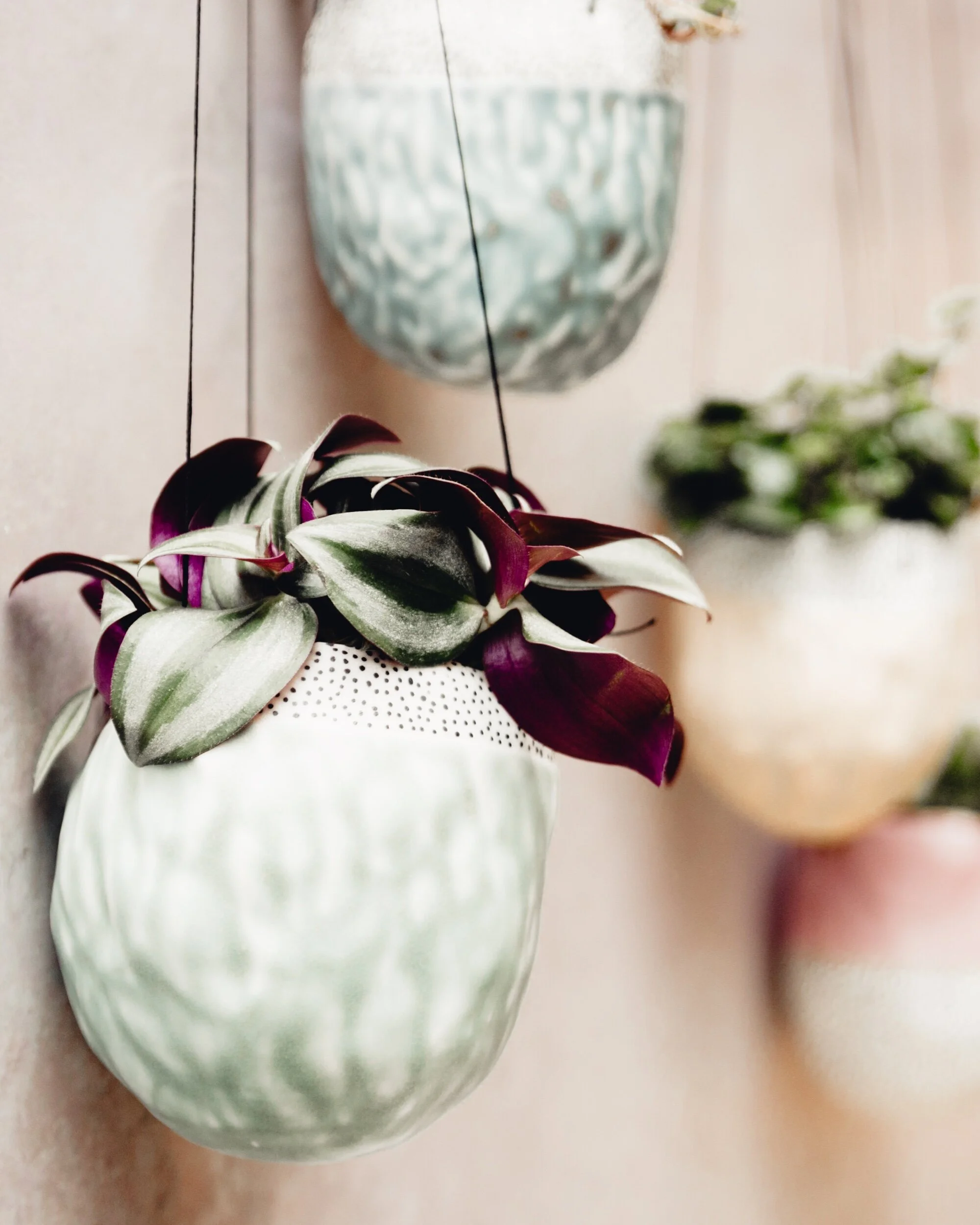 52F57DF3-BBC2-43CE-A540-AE91FD1BF50D