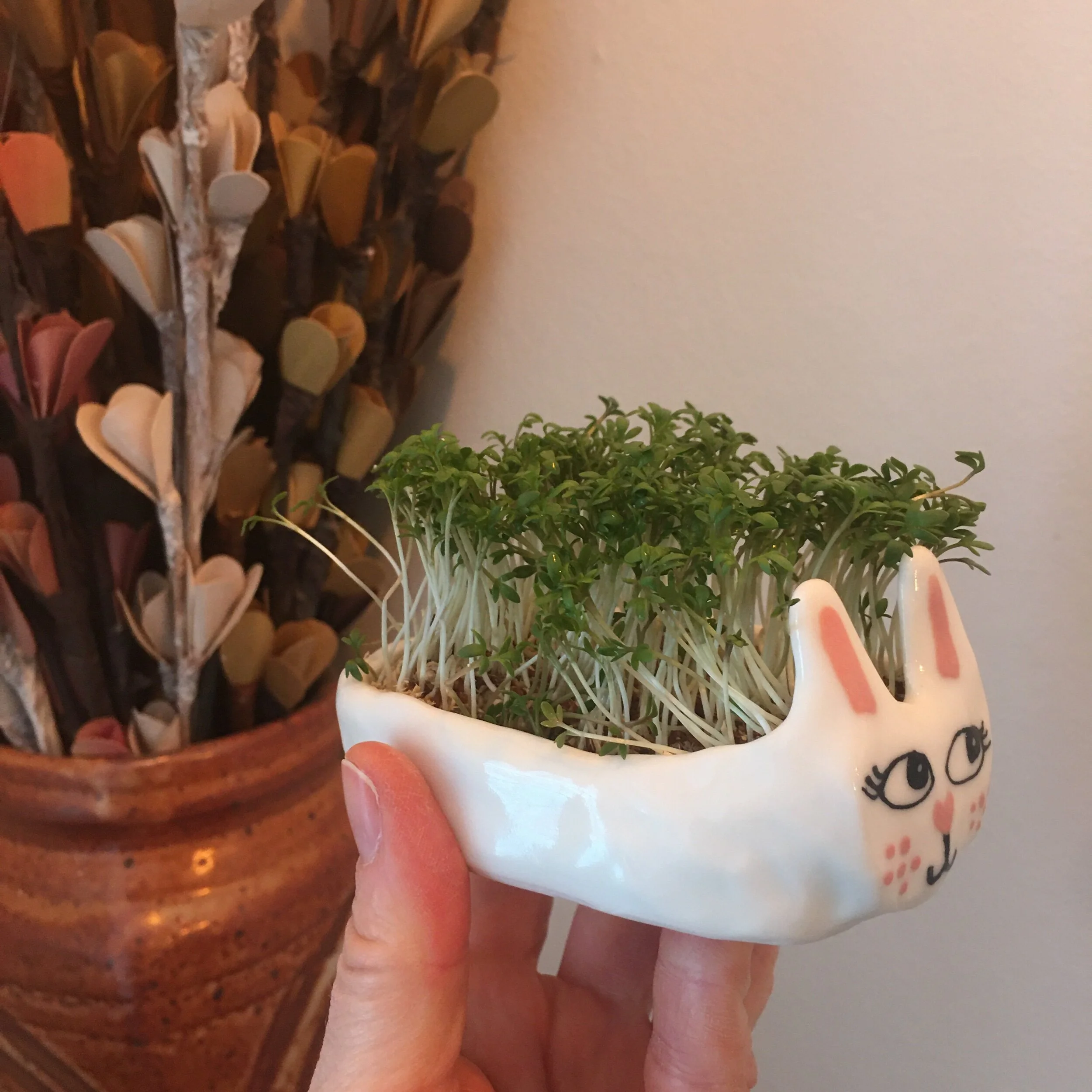 AB7E891D-F339-48B9-BD86-3153098BB228