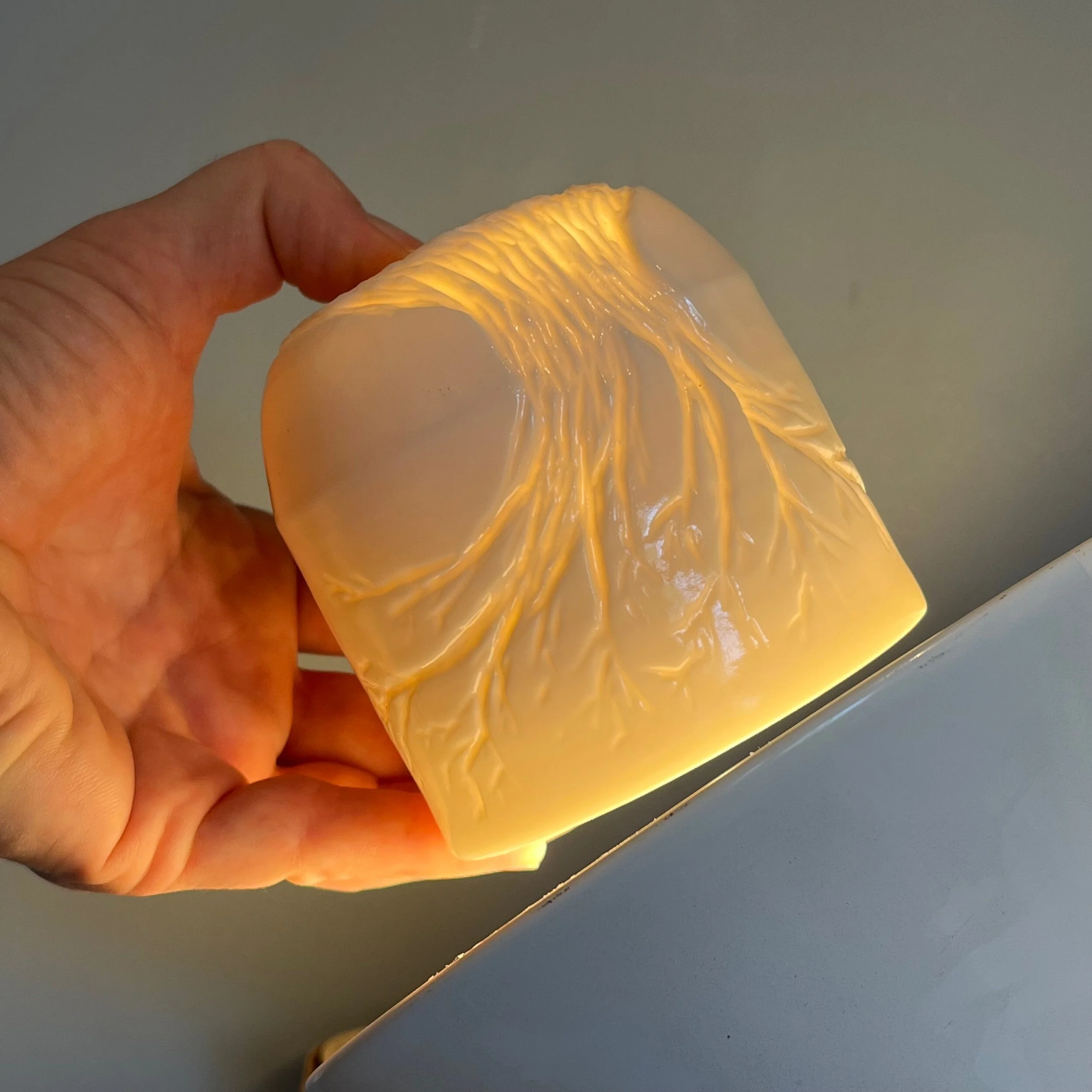 FA8894CC-A5E4-463E-A8EE-451431A509E7