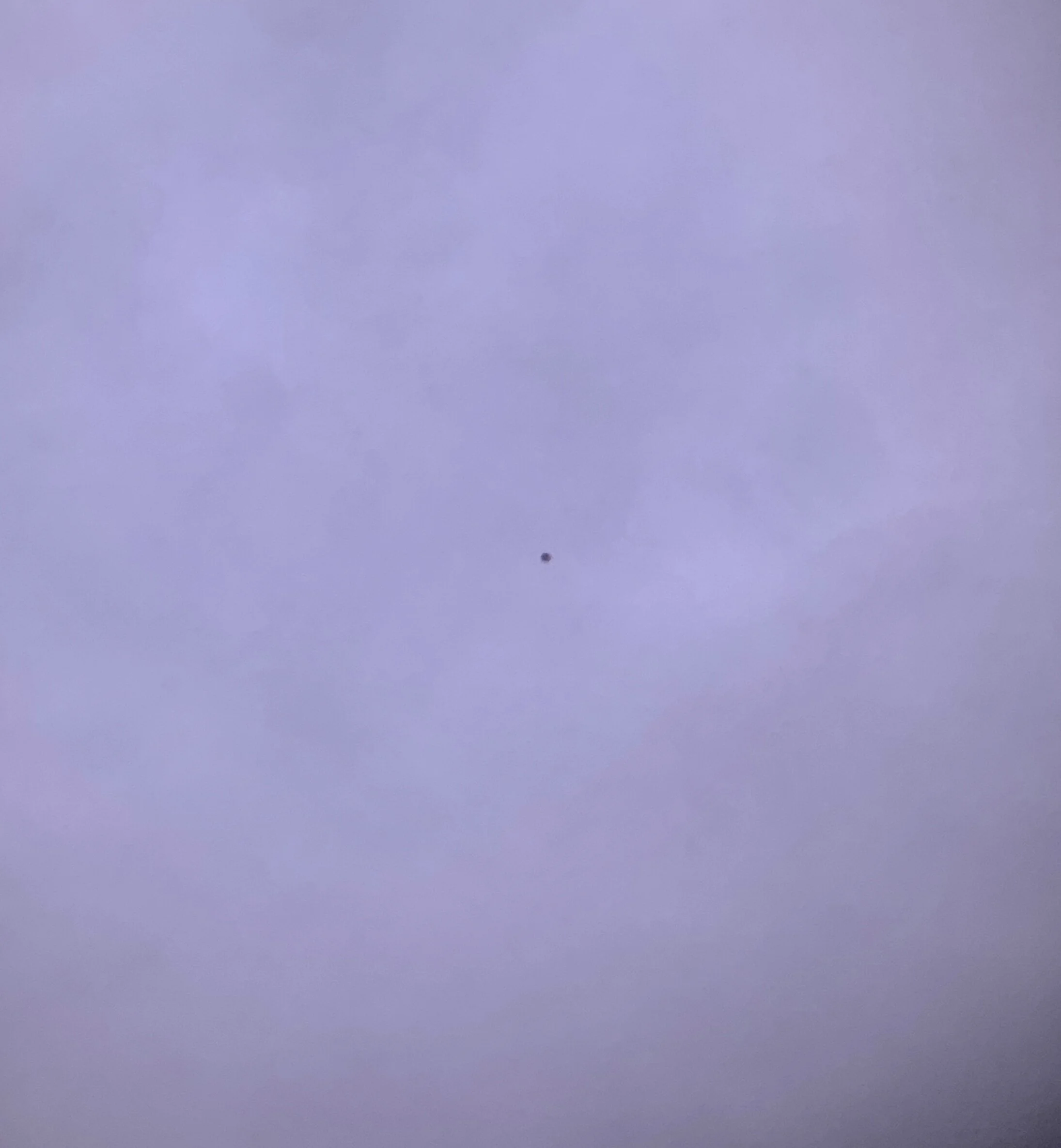 fullsizeoutput_4a5.jpeg
