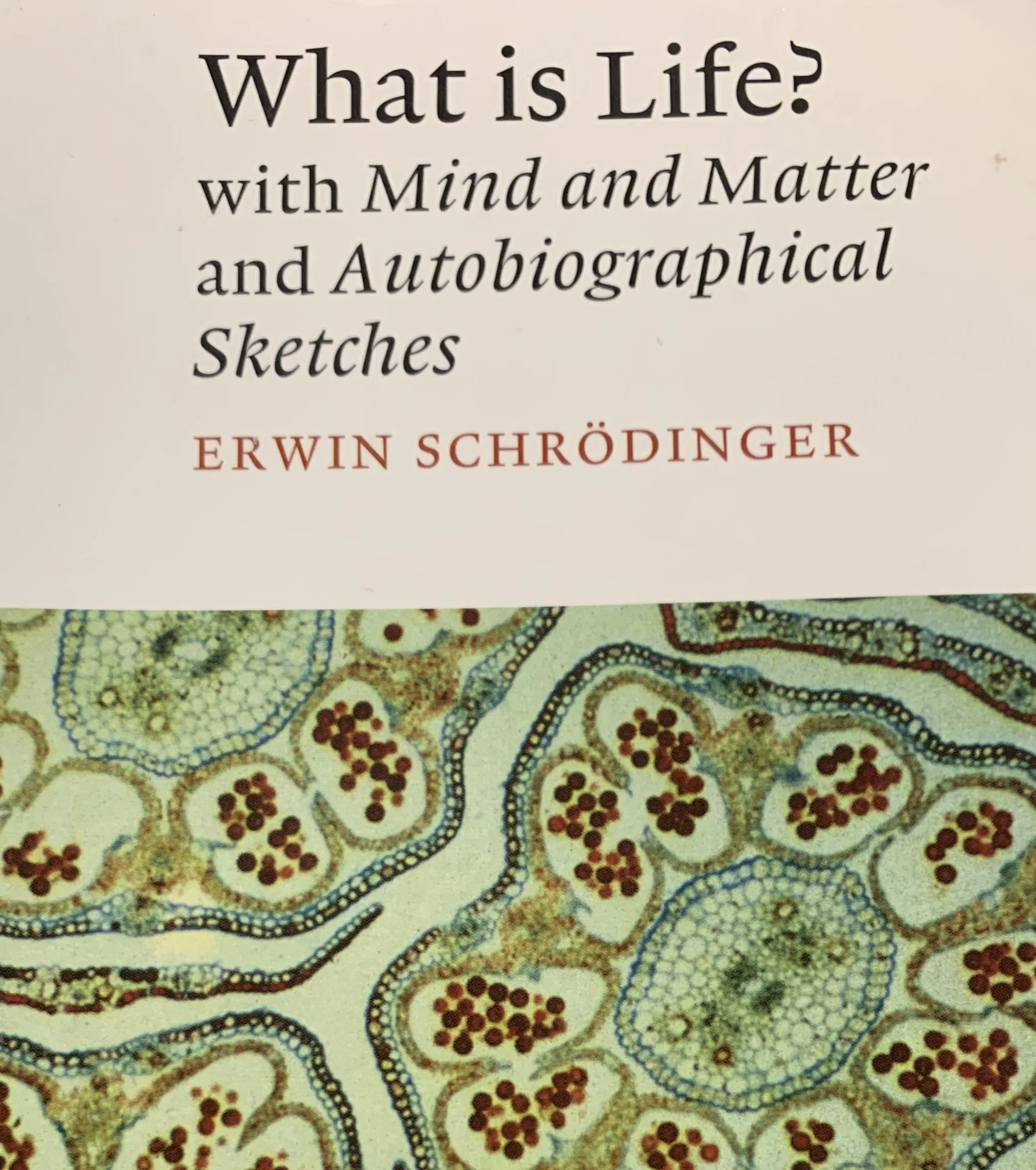   What is this “I”?   “What is this 'I'? If you analyze it closely you will, I think, find that it is just a little bit more than a collection of single data (experiences and memories), namely the canvas upon which they are collected. And you will, o