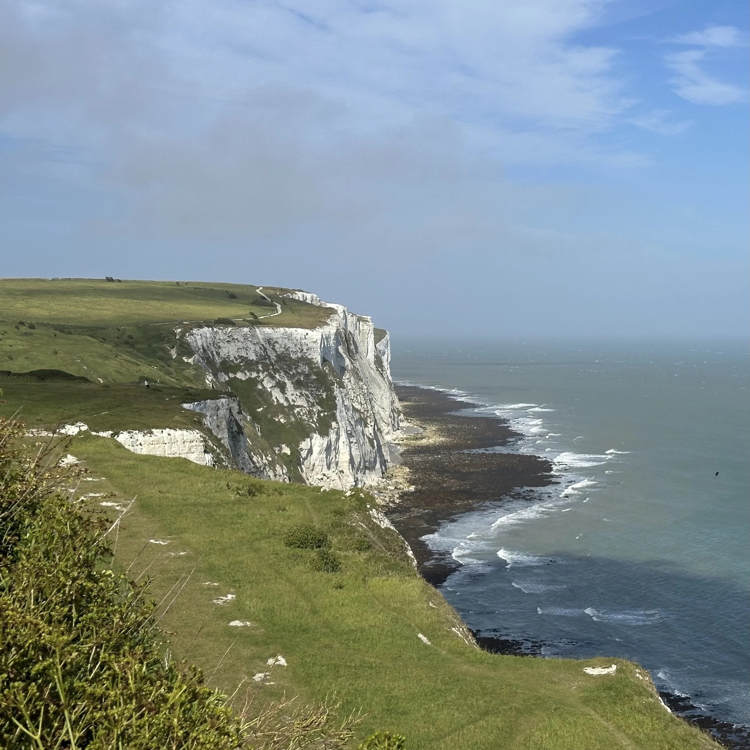 IMG_7876.jpeg