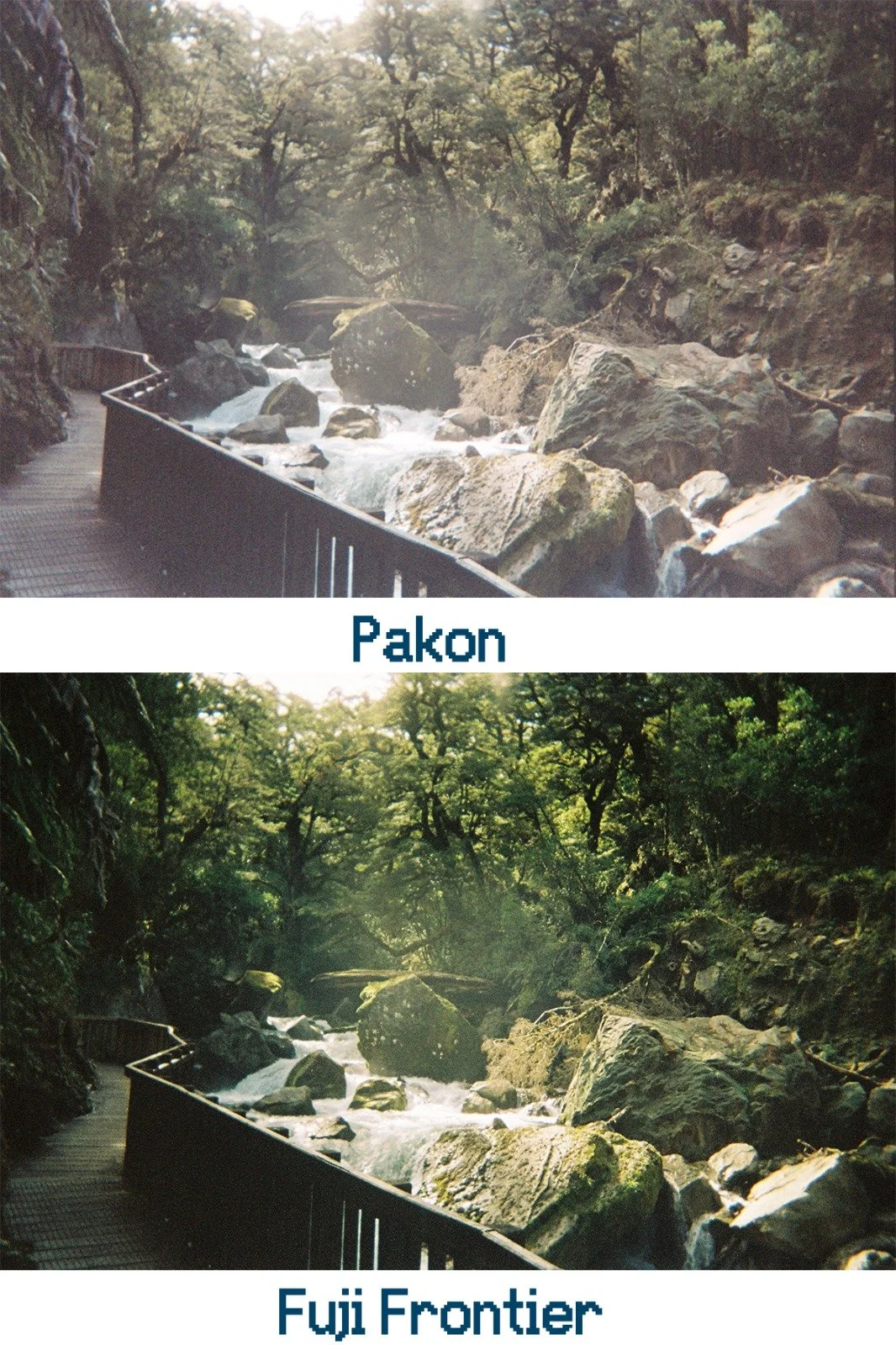 WhatsApp Image 2024-03-09 at 2.57.15 PM.jpeg