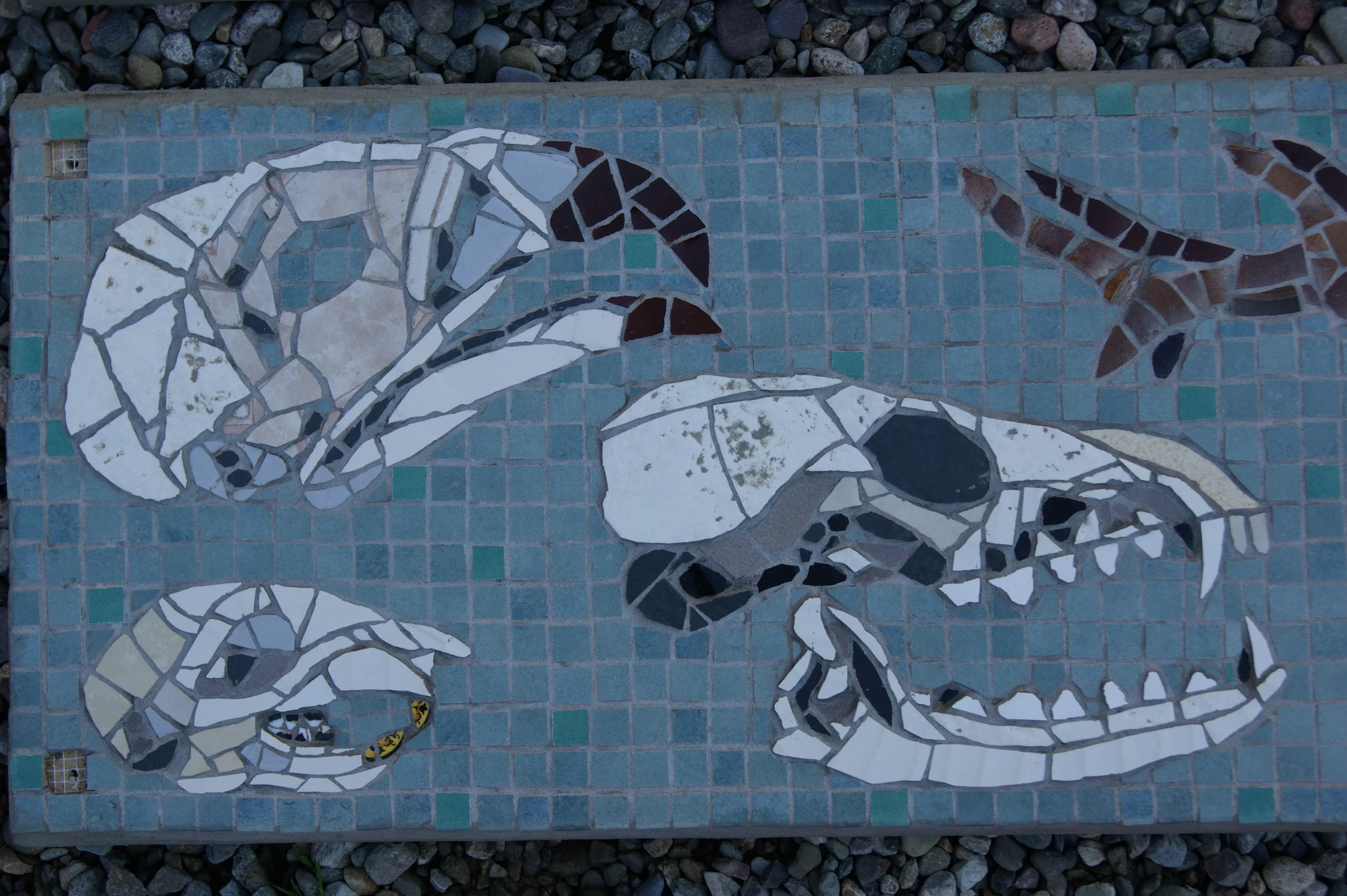"Biodiversity" mosaic at the Wyre Forest Visitor Centre, Bewdley, Worcestershire. Skulls of various animals and birds inhabiting the forest. Recycled china crockery and ceramic.