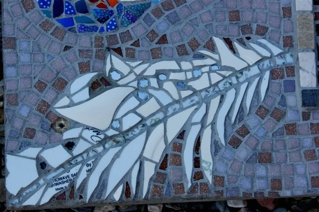 Feathers with raindrop detail.