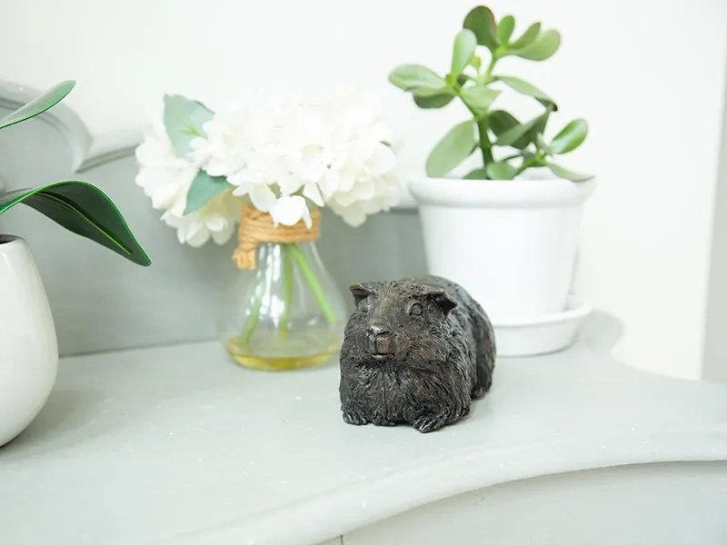 GuineaPig_Urn2.jpg