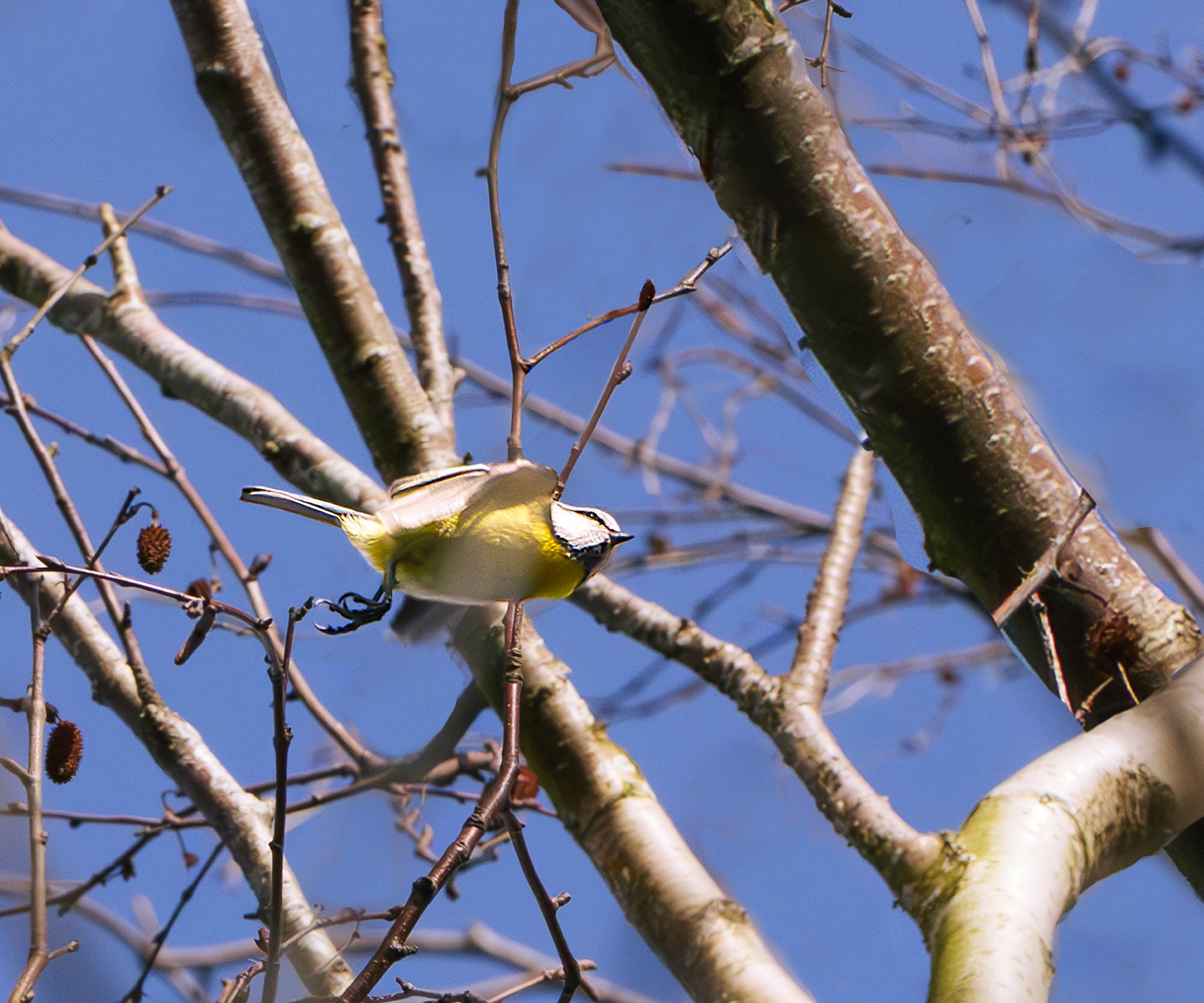 Avoiding branches skilfully