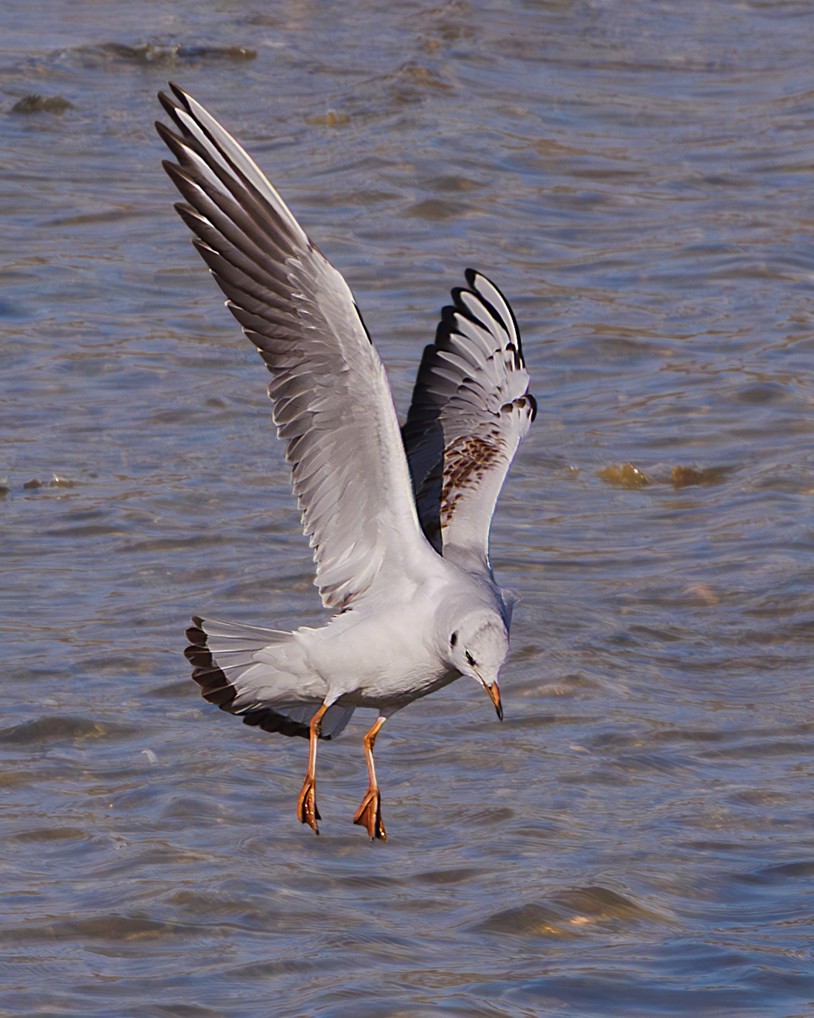 Landing