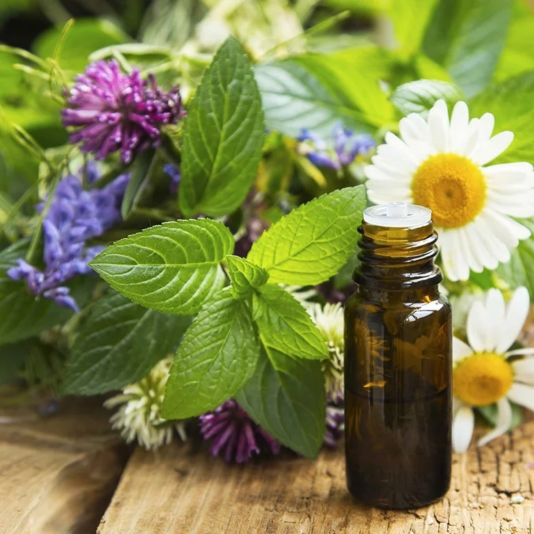 RHS Hyde Hall - An Introduction to Aromatherapy