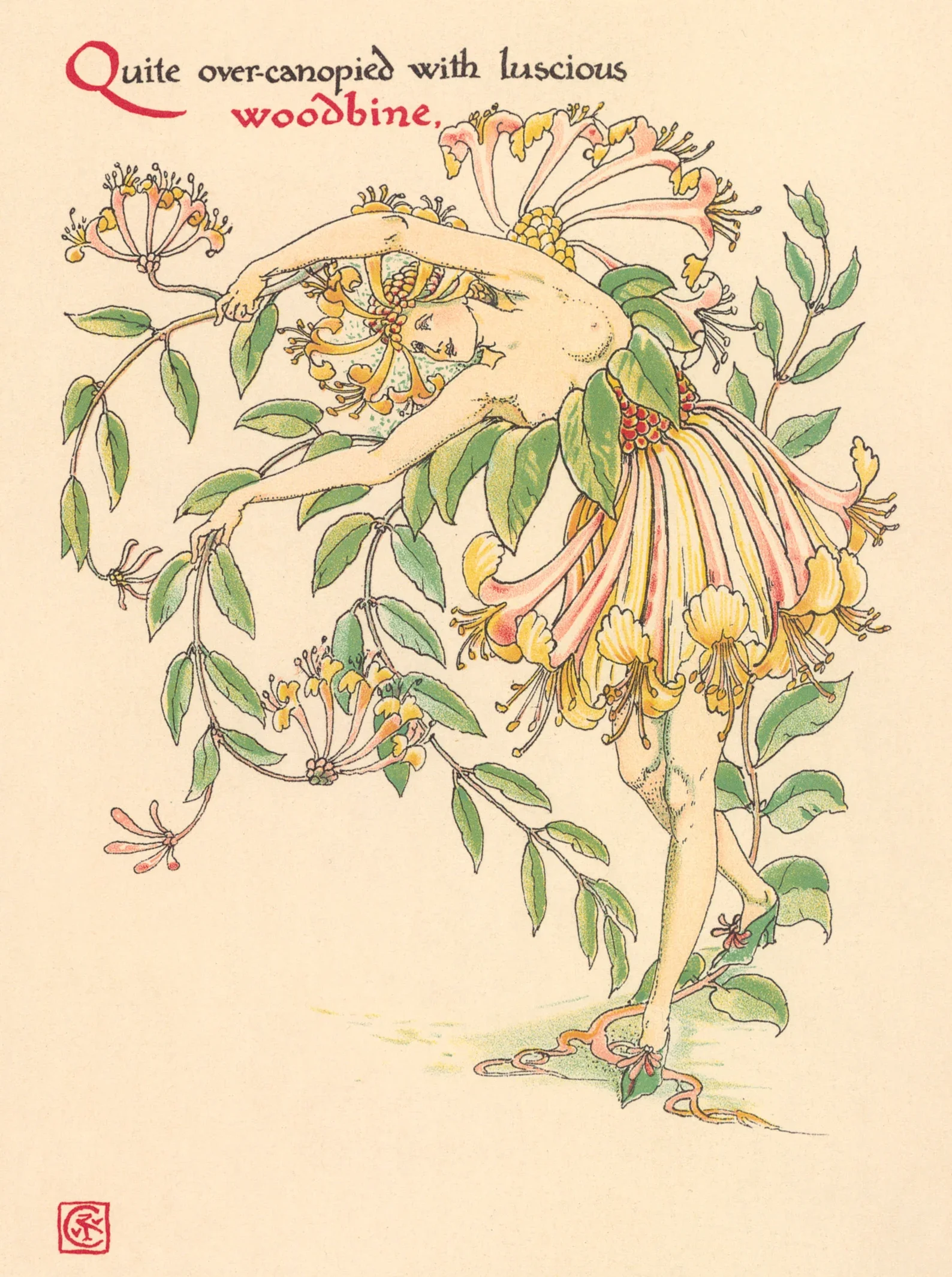 RHS Lindley - A Shakespearean Perfume