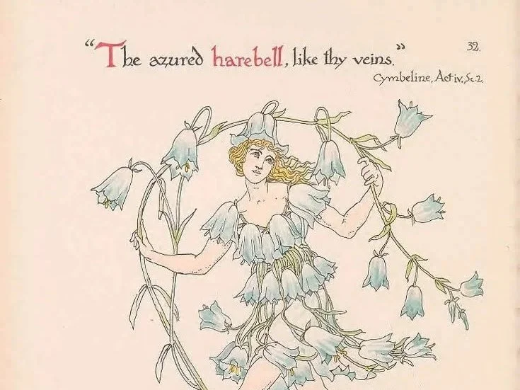 RHS Lindley Library Late - Shakespeare Garden Fragrance
