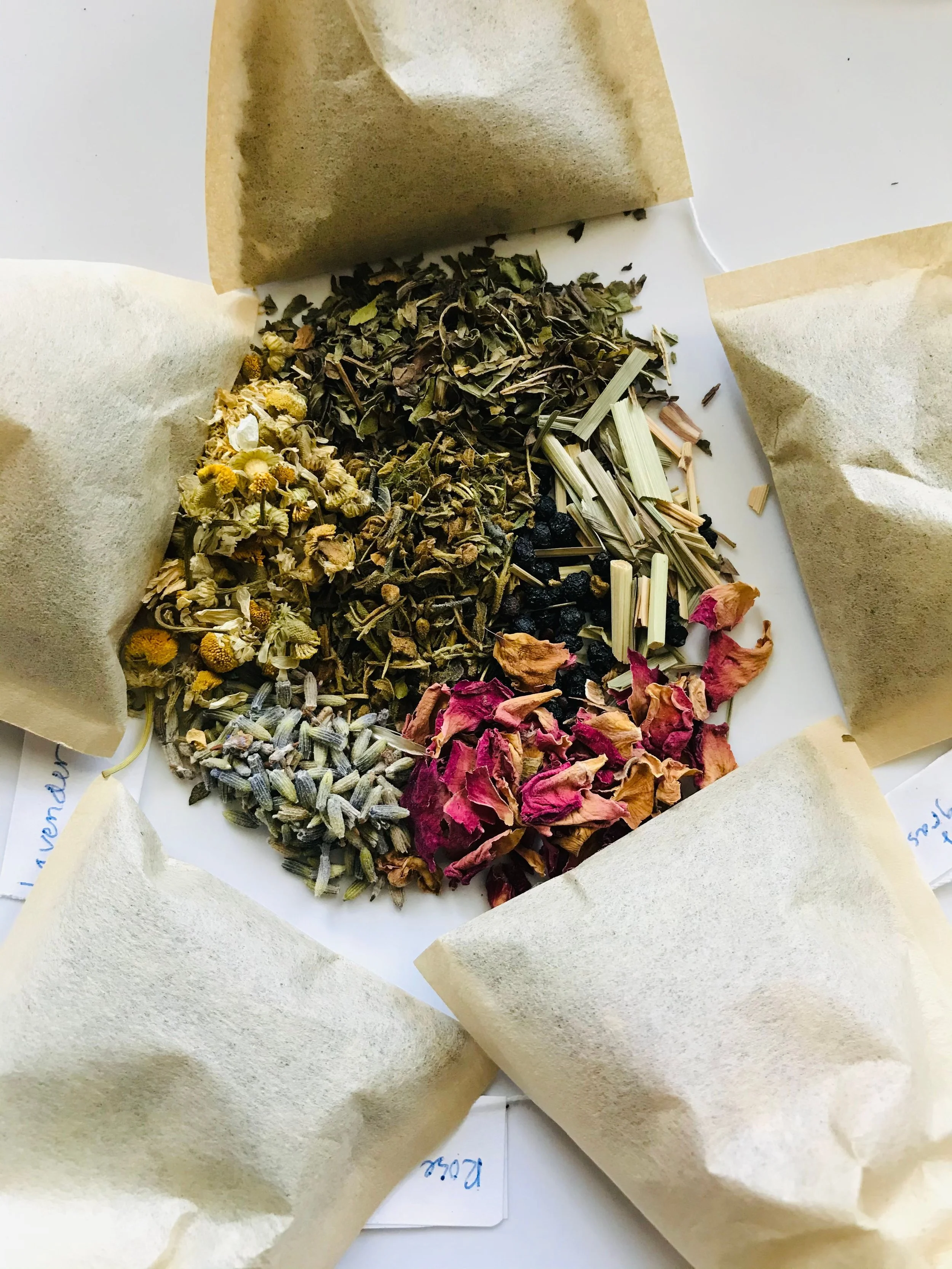 Autumn Botanical Apothecary at Honey and Co Studio