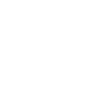 LG Logo Display logo.png