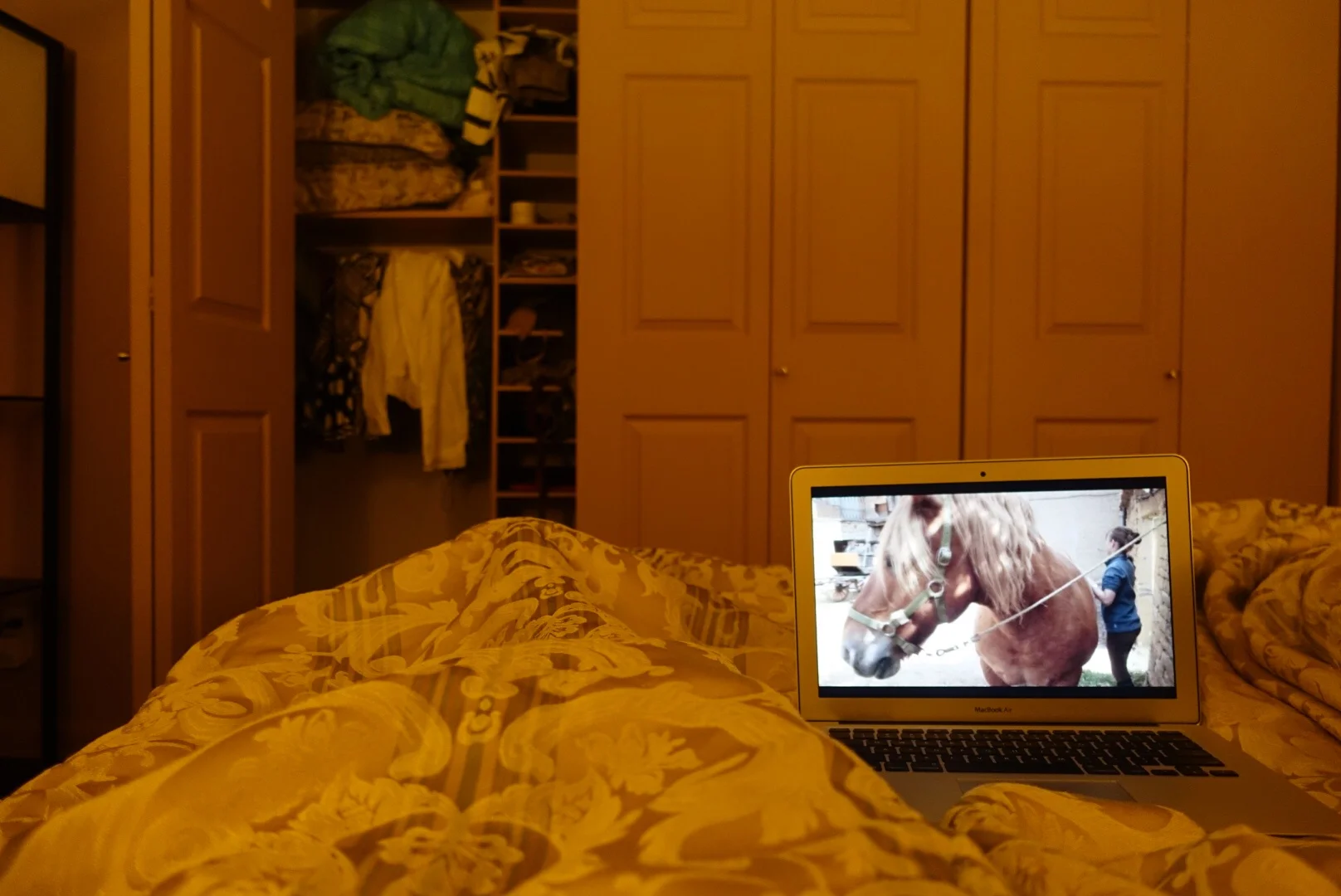 Lazy Saturday night in watching "A Year In Burgundy" on Netflix.