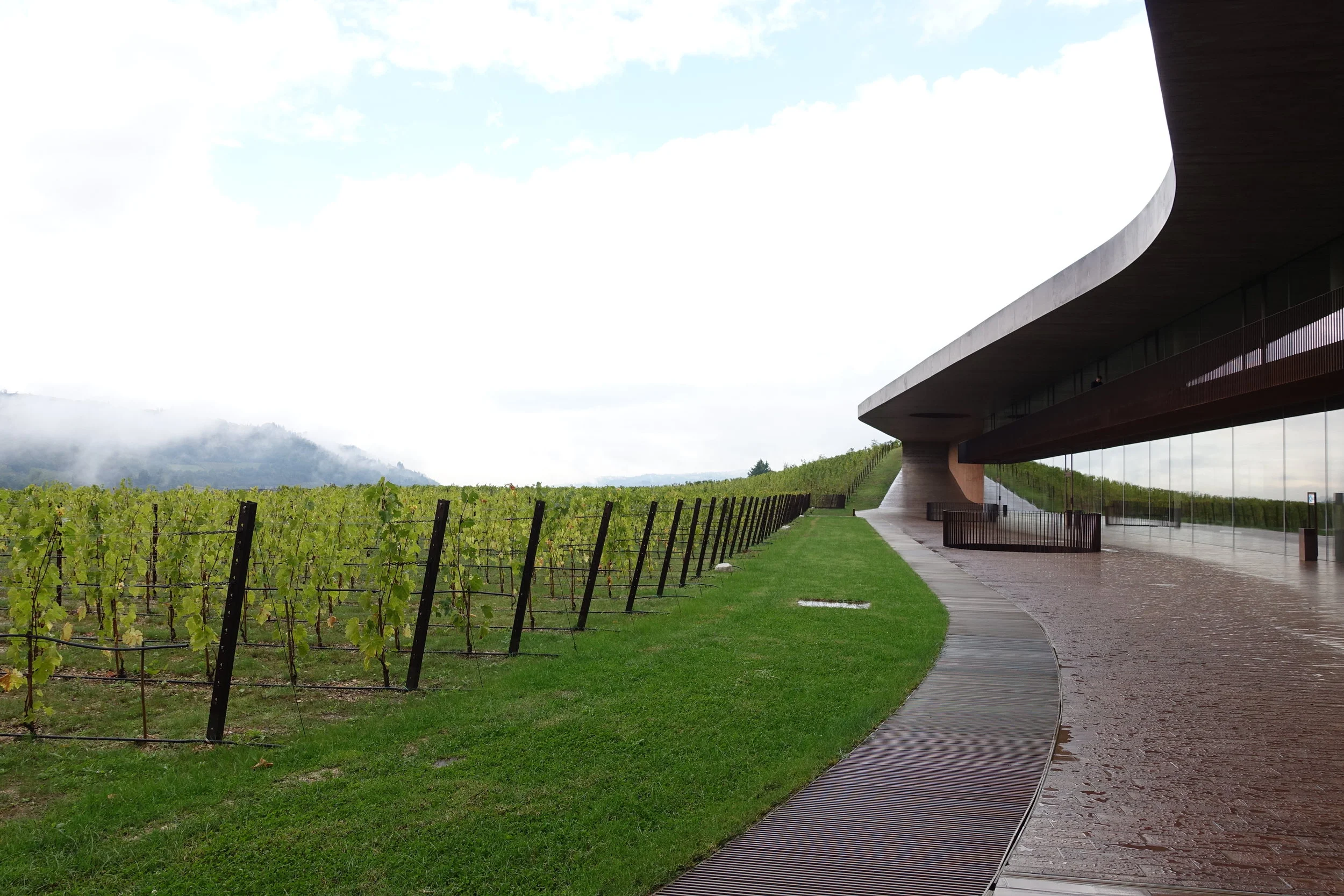 Day 46: They Put The 'Win' In Winery