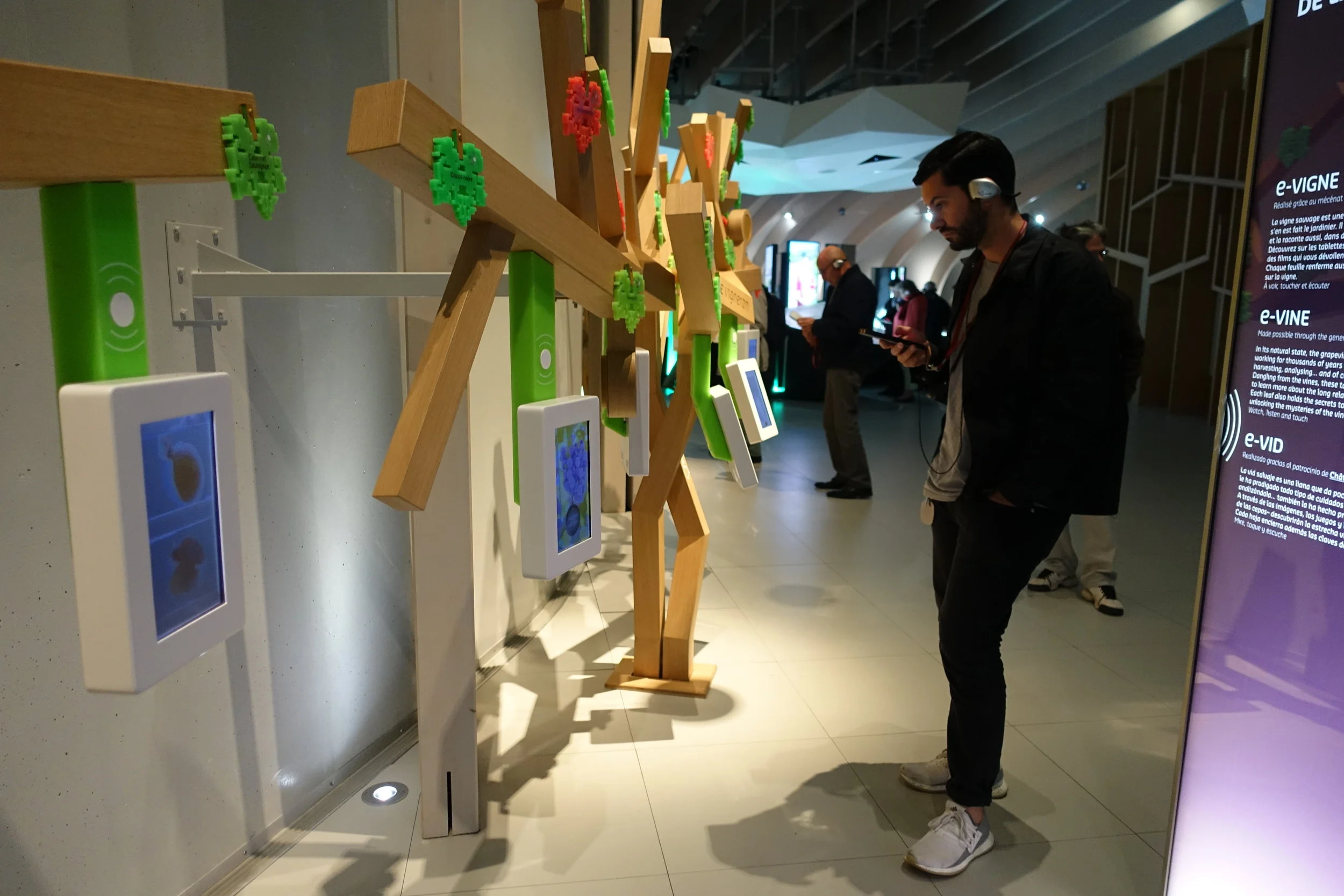 You can scan the vine leaves to learn about different grape varietals or scan the screens to hear about parts of the wine making process.