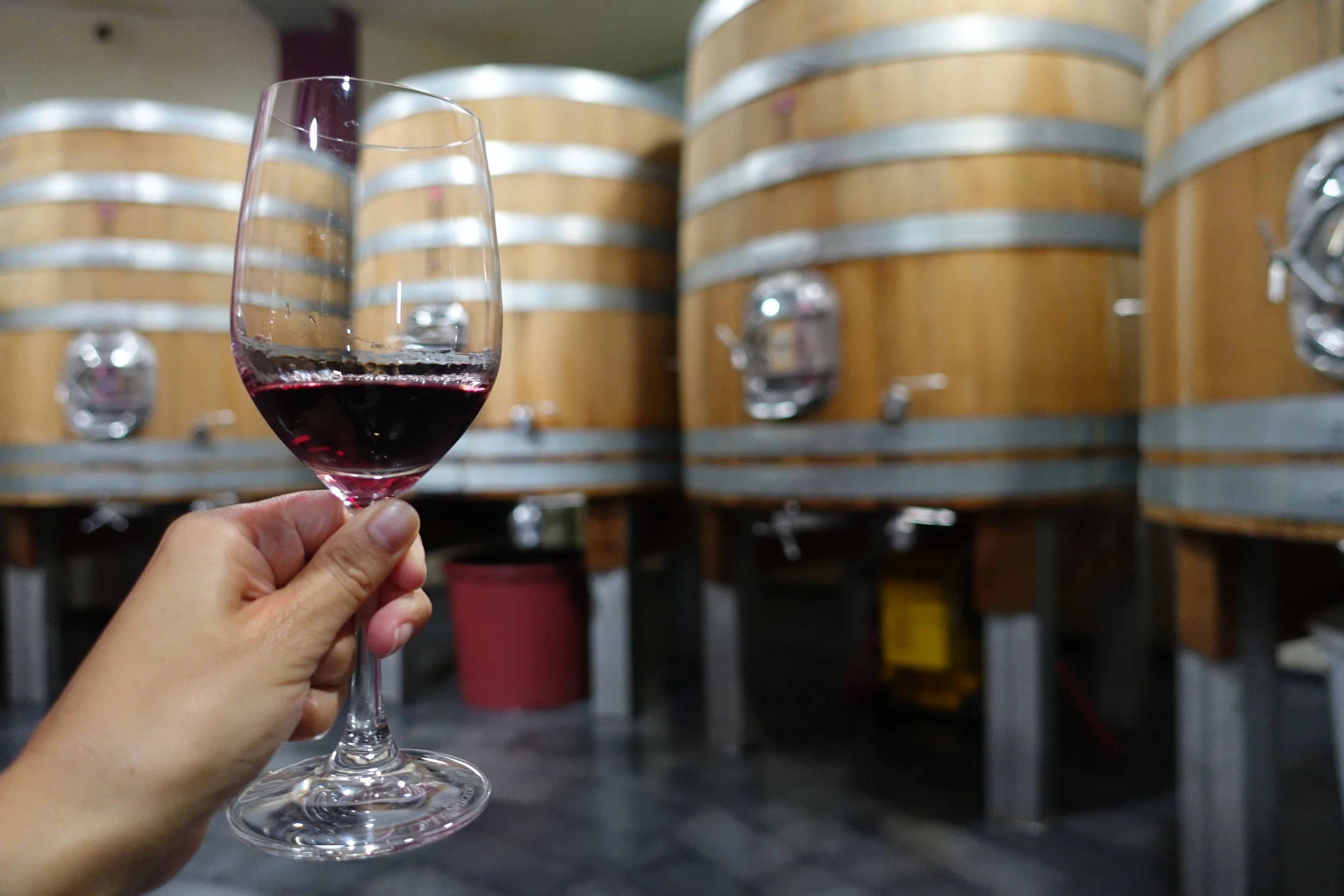 Day 47: Happy 50th Birthday, Nobile Di Montepulciano!