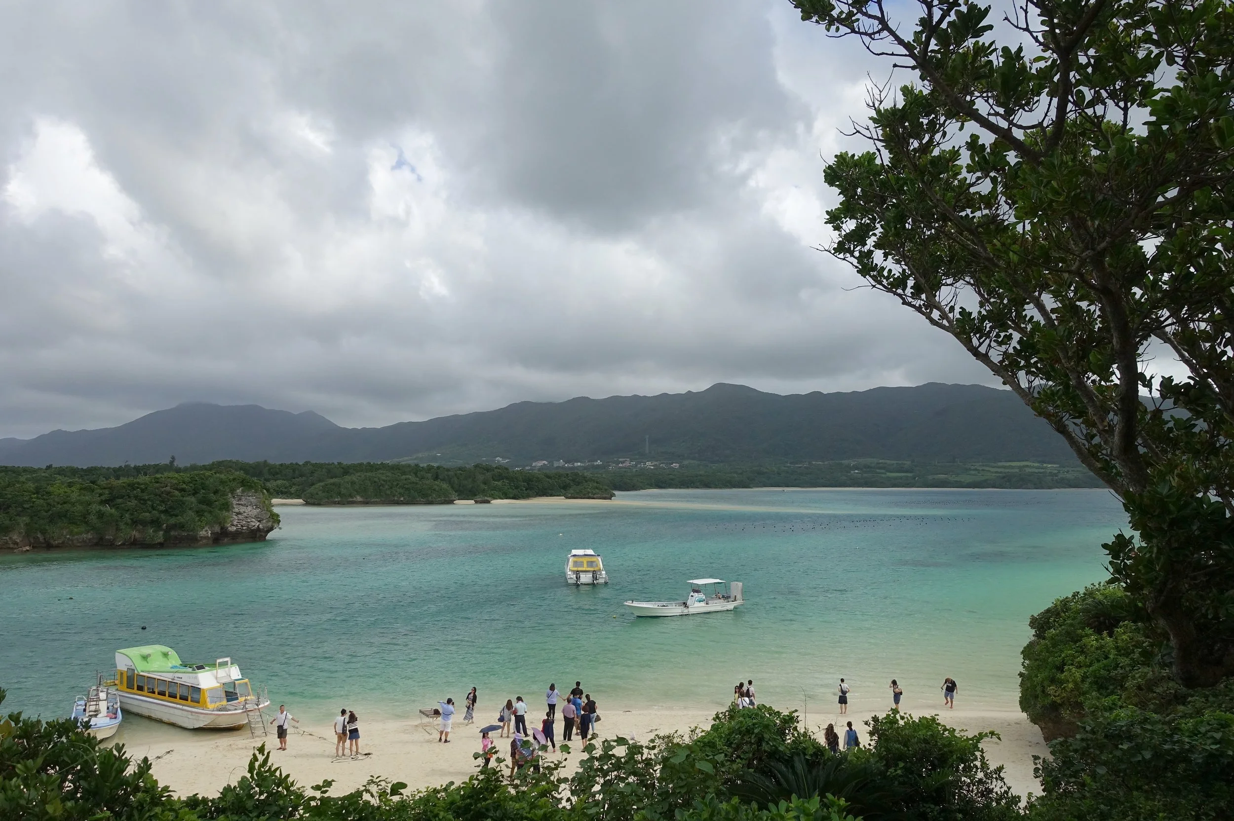 Day 58: Welcome To Paradise