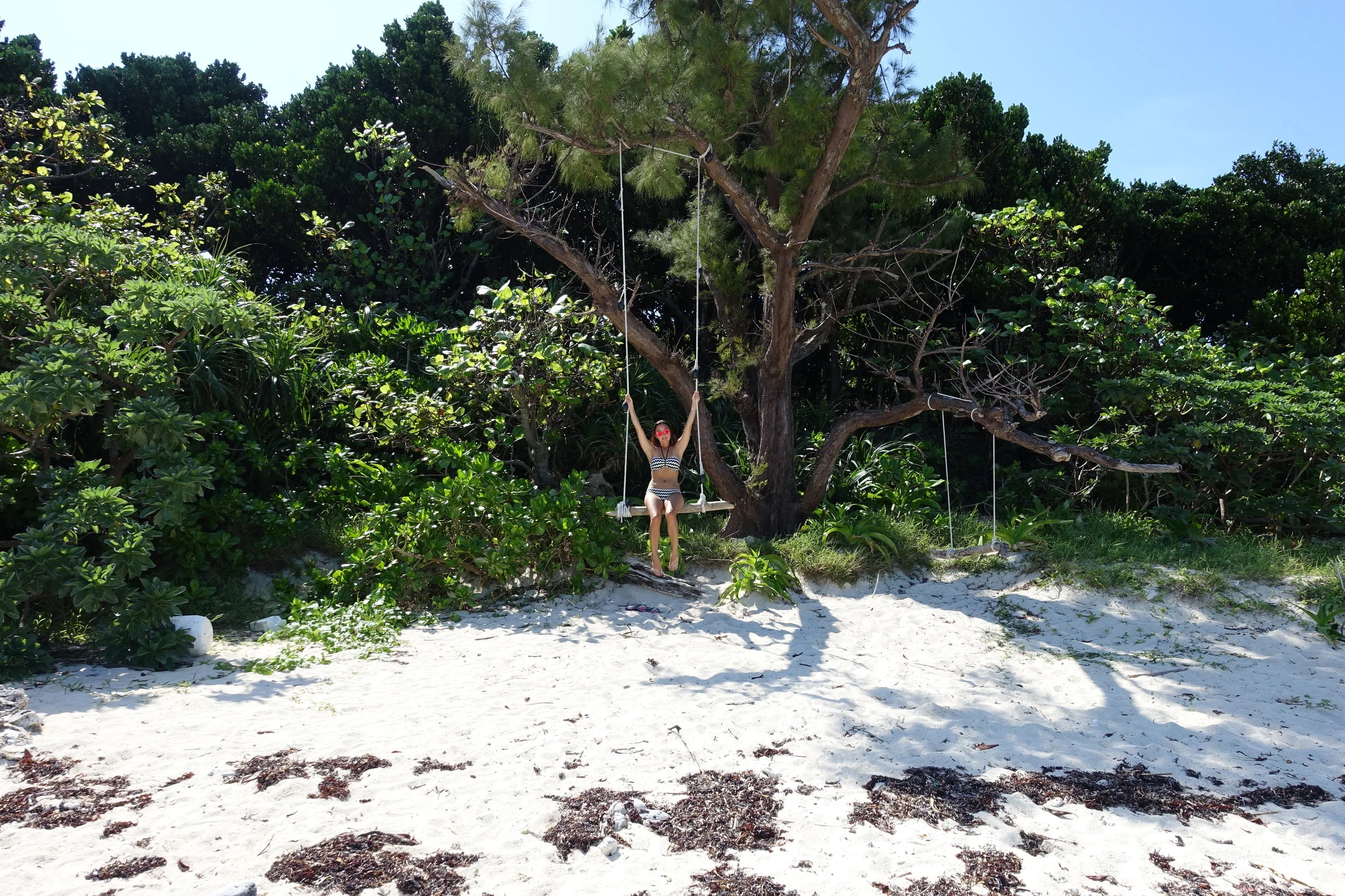 We found these beach swings!