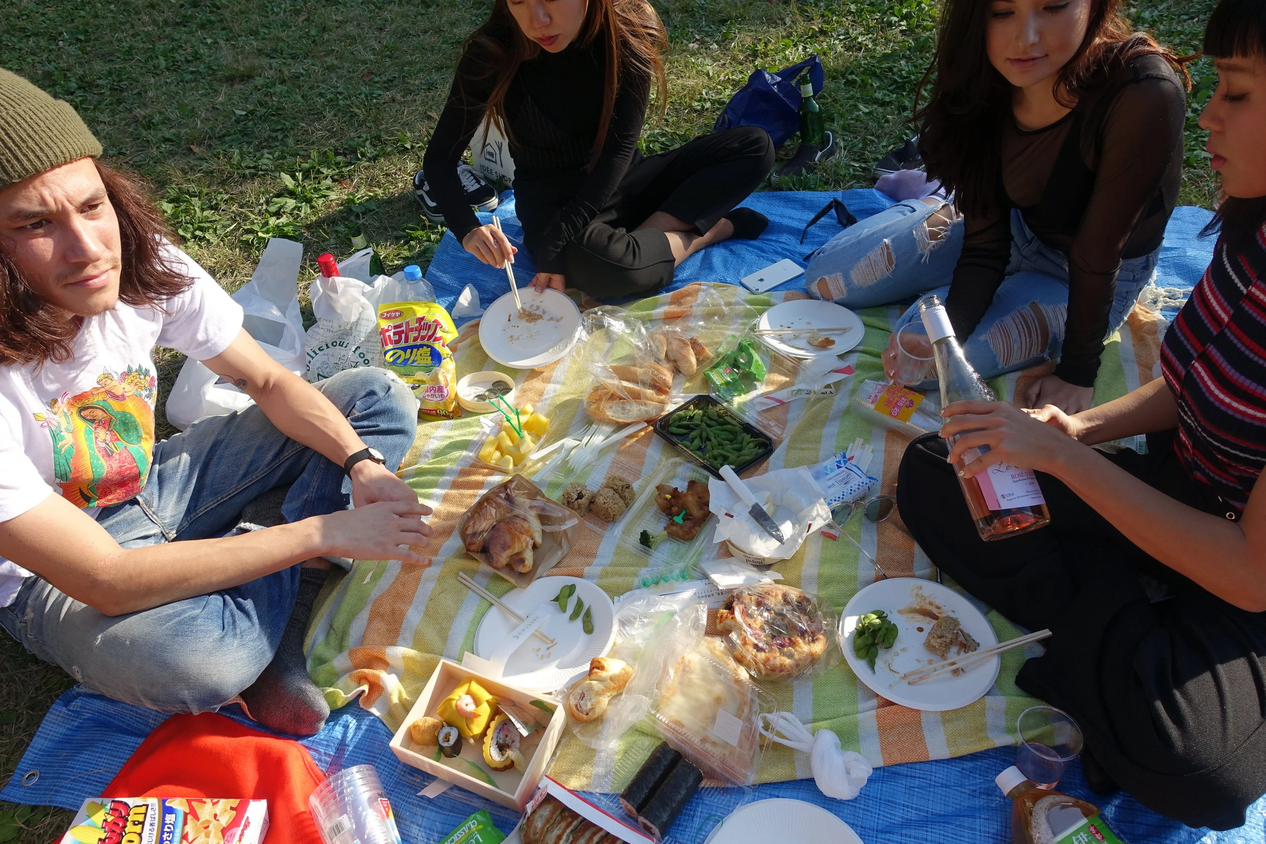 Day 74: Picnics In The Park And A Change Of Plans