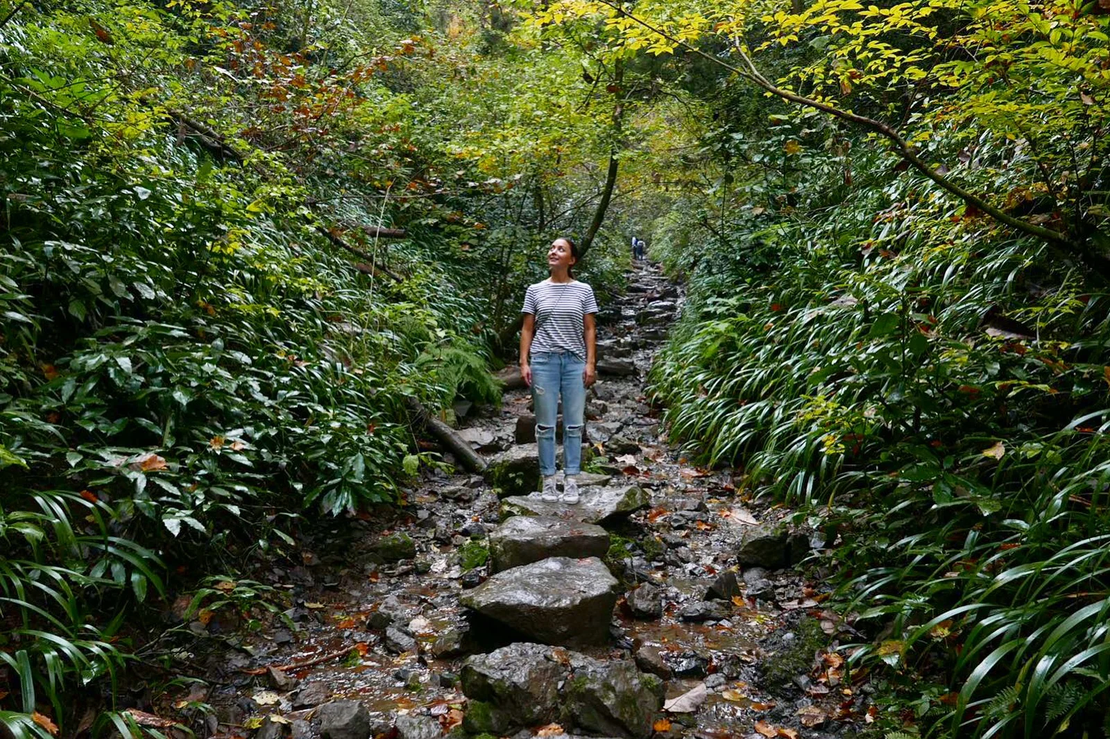 Day 84: The Underprepared Hikers